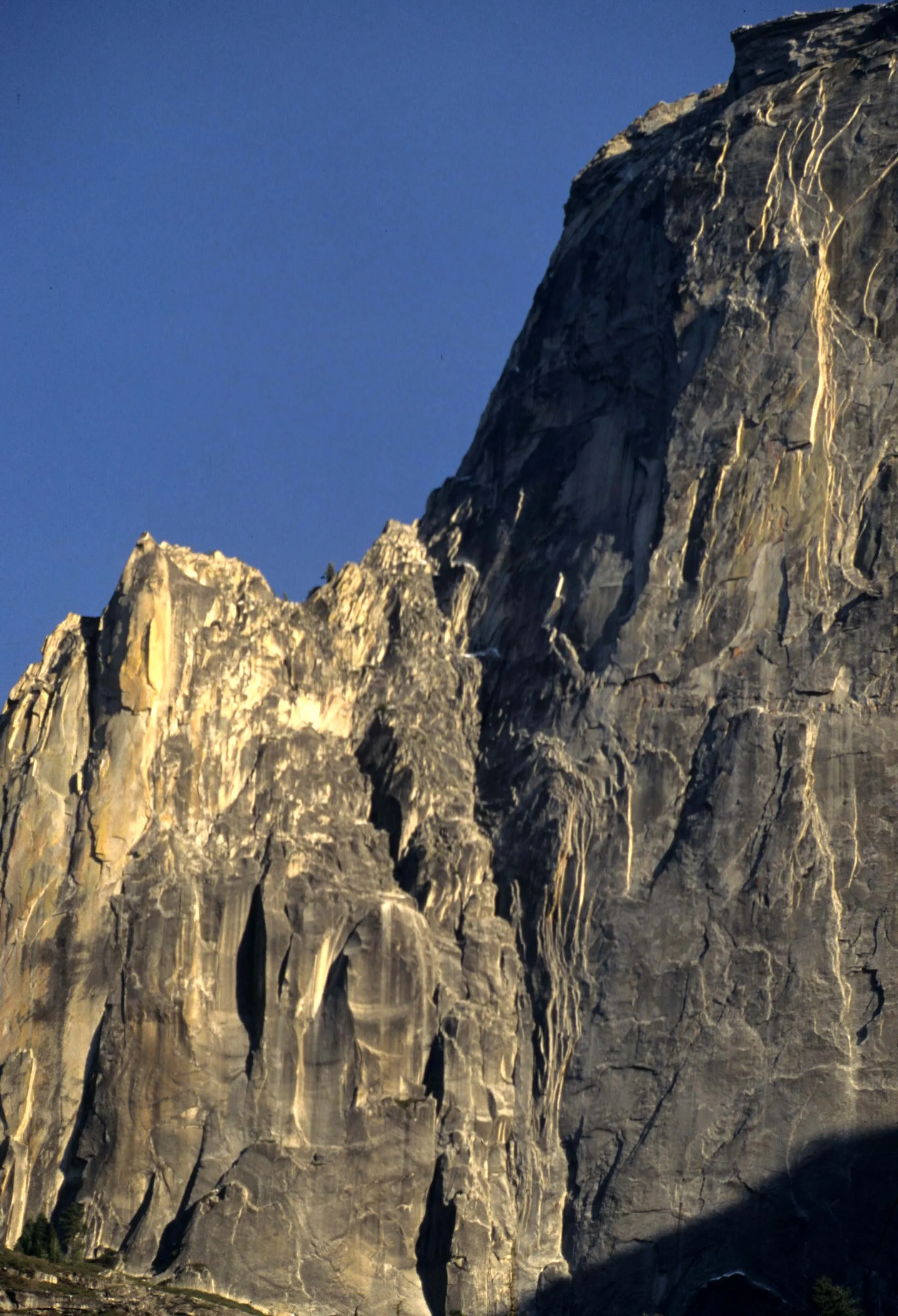 CALIFORNIA - YOSEMITE NATIONAL PARK (18).jpg