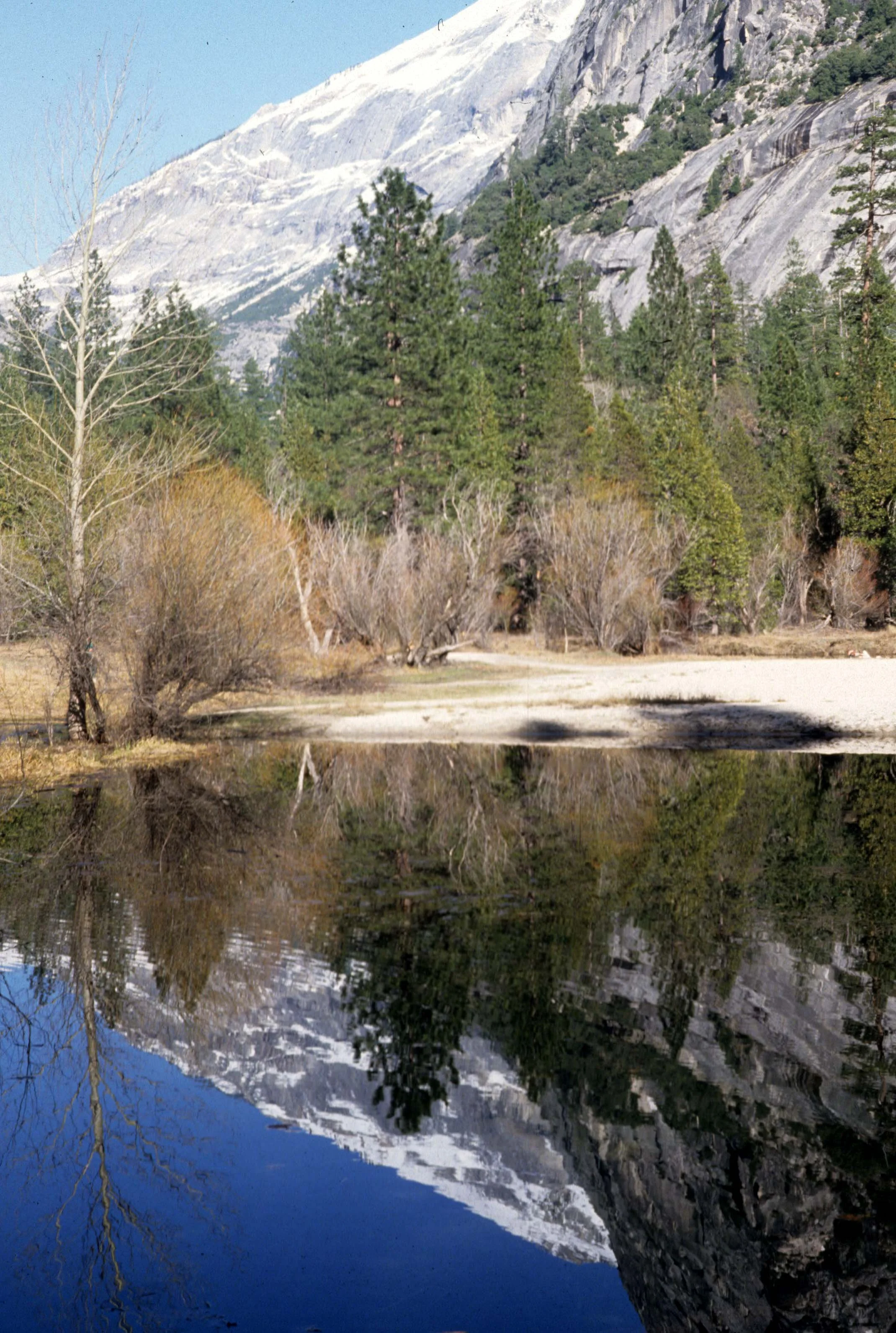 CALIFORNIA - YOSEMITE NP  (16).jpg