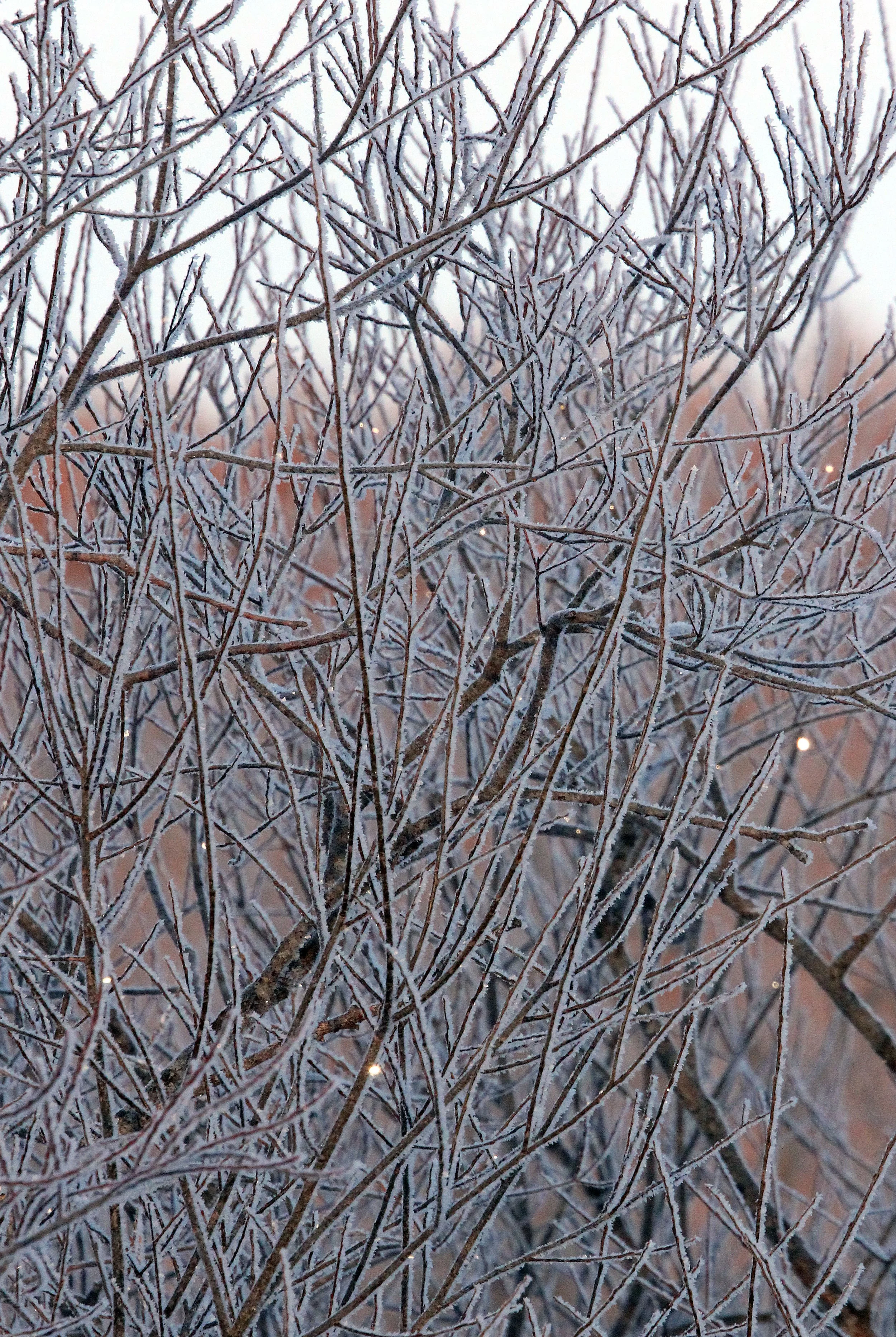 OTOWABASHI SETSUGAWA - TSURUI TOWN - HOKKAIDO JAPAN (37).JPG