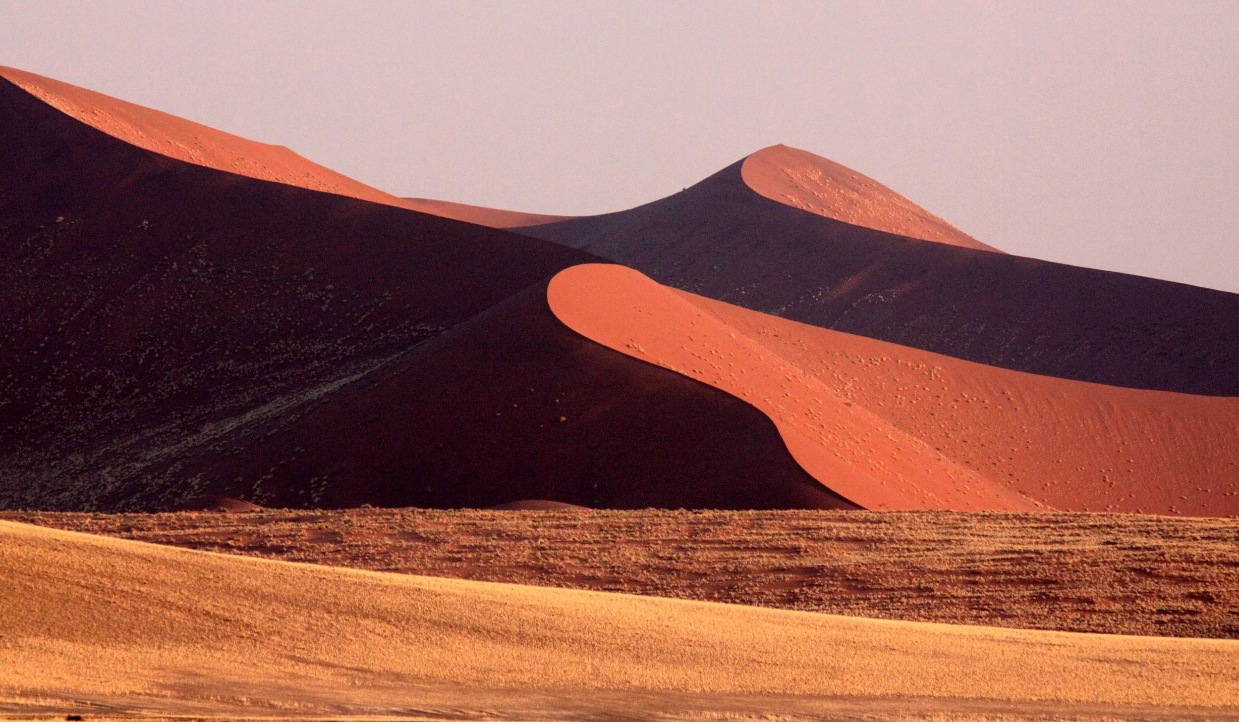 SOSSUSVLEI, NAMIB NAUKLUFT NATIONAL PARK, NAMIBIA (66).JPG