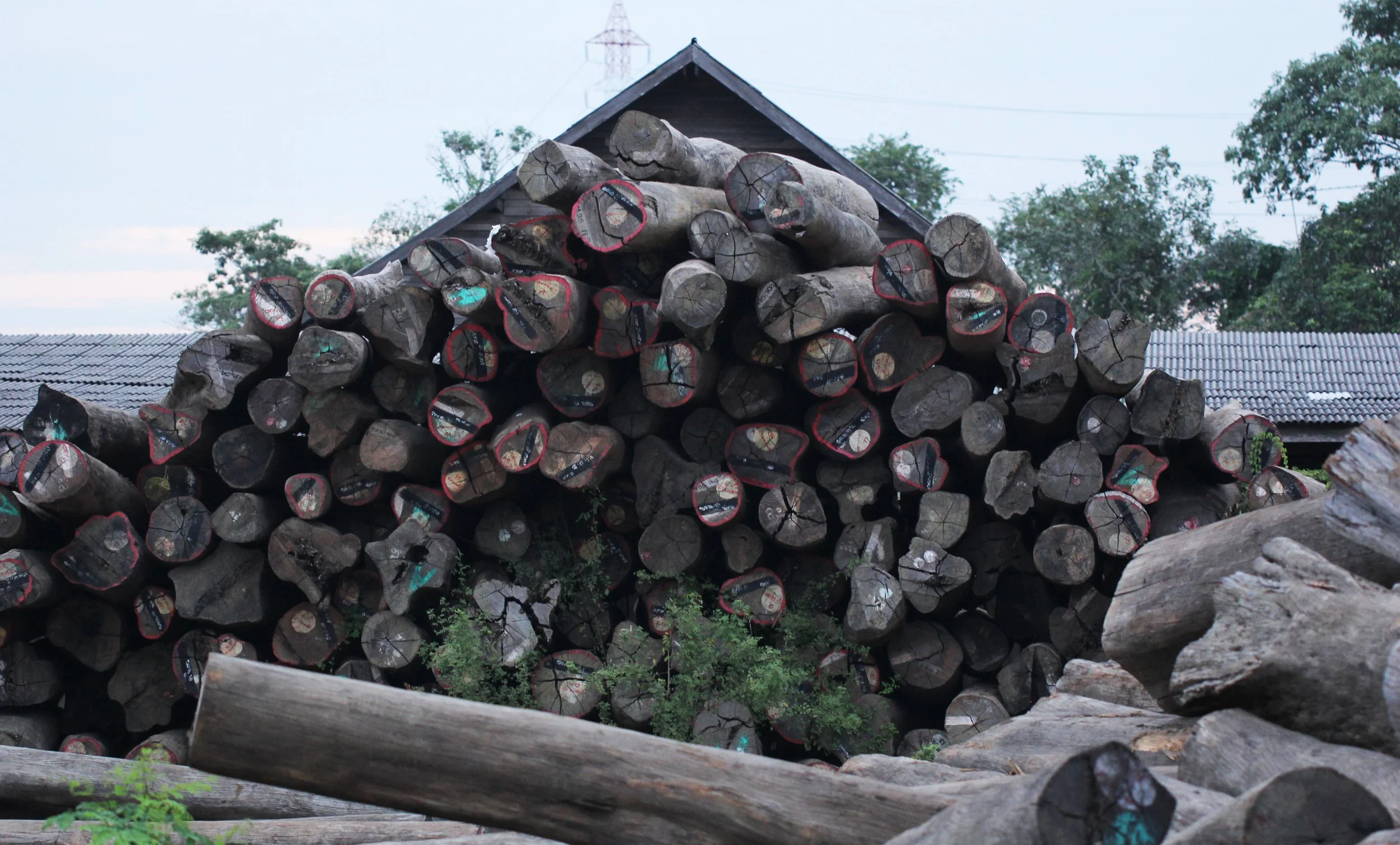 2014 Bangkok - Dinner on the Chao Praya in Nonthaburi (92).JPG