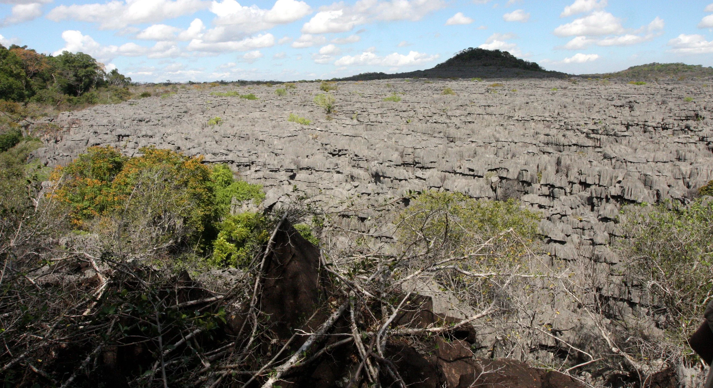 ANKARANA NATIONAL PARK MADAGASCAR - TSINGY FOREST (10).JPG
