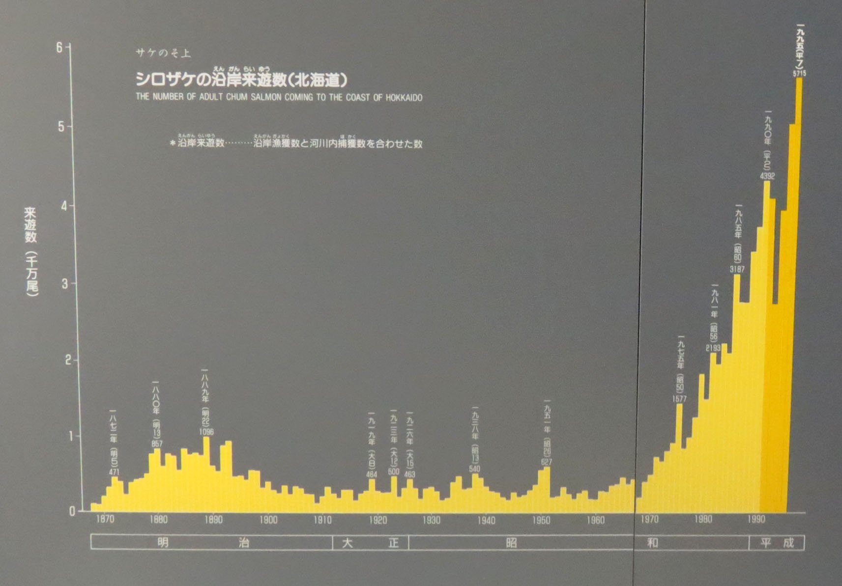 SHIBETSU SALMON MUSEUM - HOKKAIDO JAPAN (4).JPG