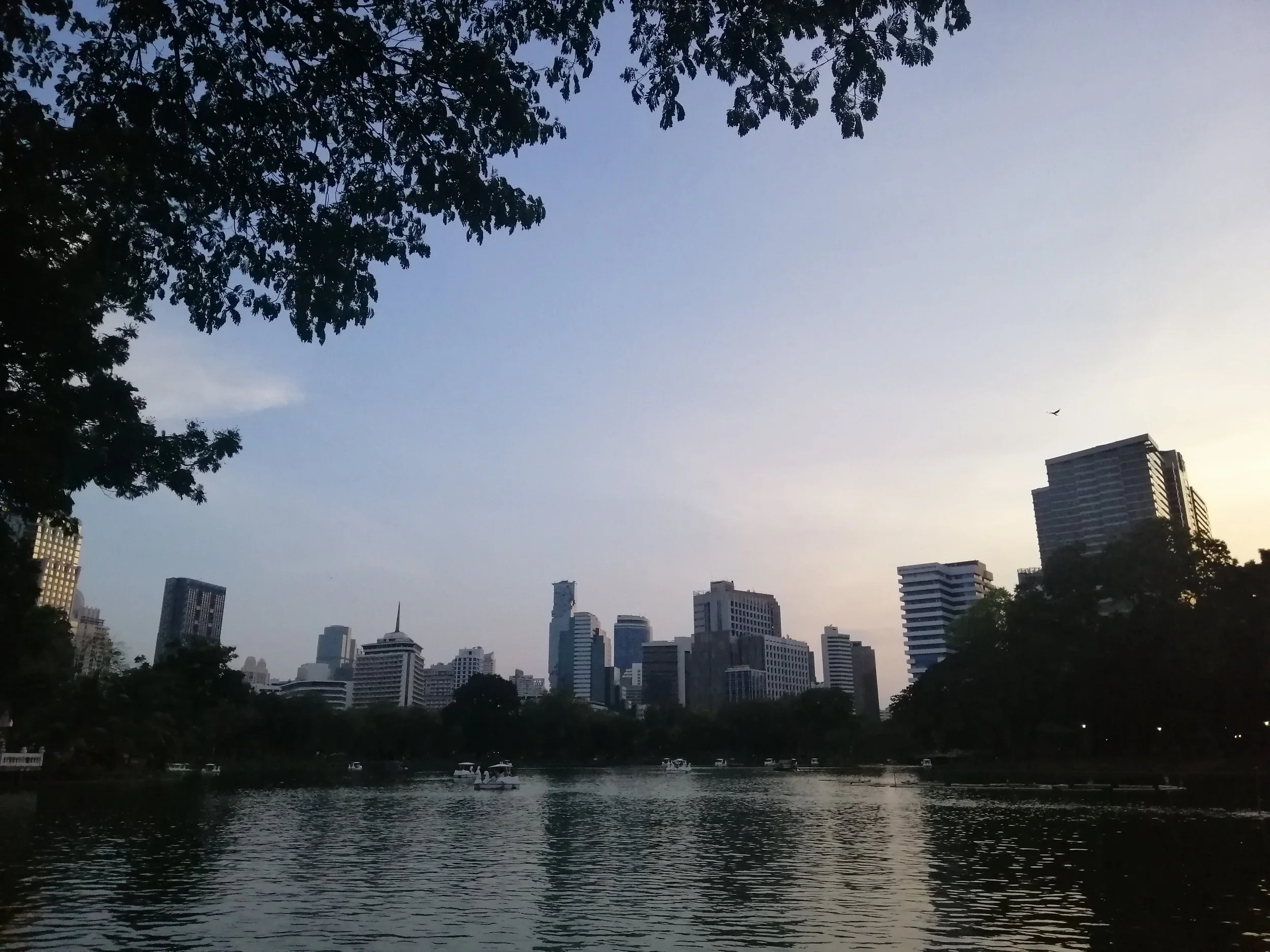 2019 Lumpini Park Bangkok with Gift and Ann (41).jpg