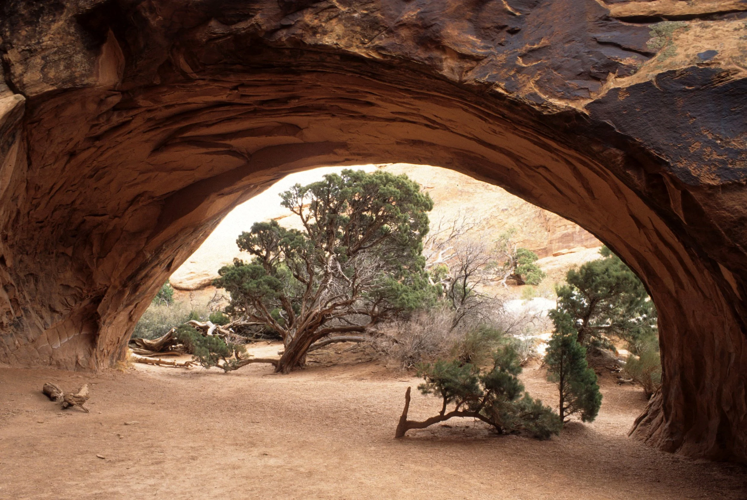 UTAH - ARCHES NP AA.jpg