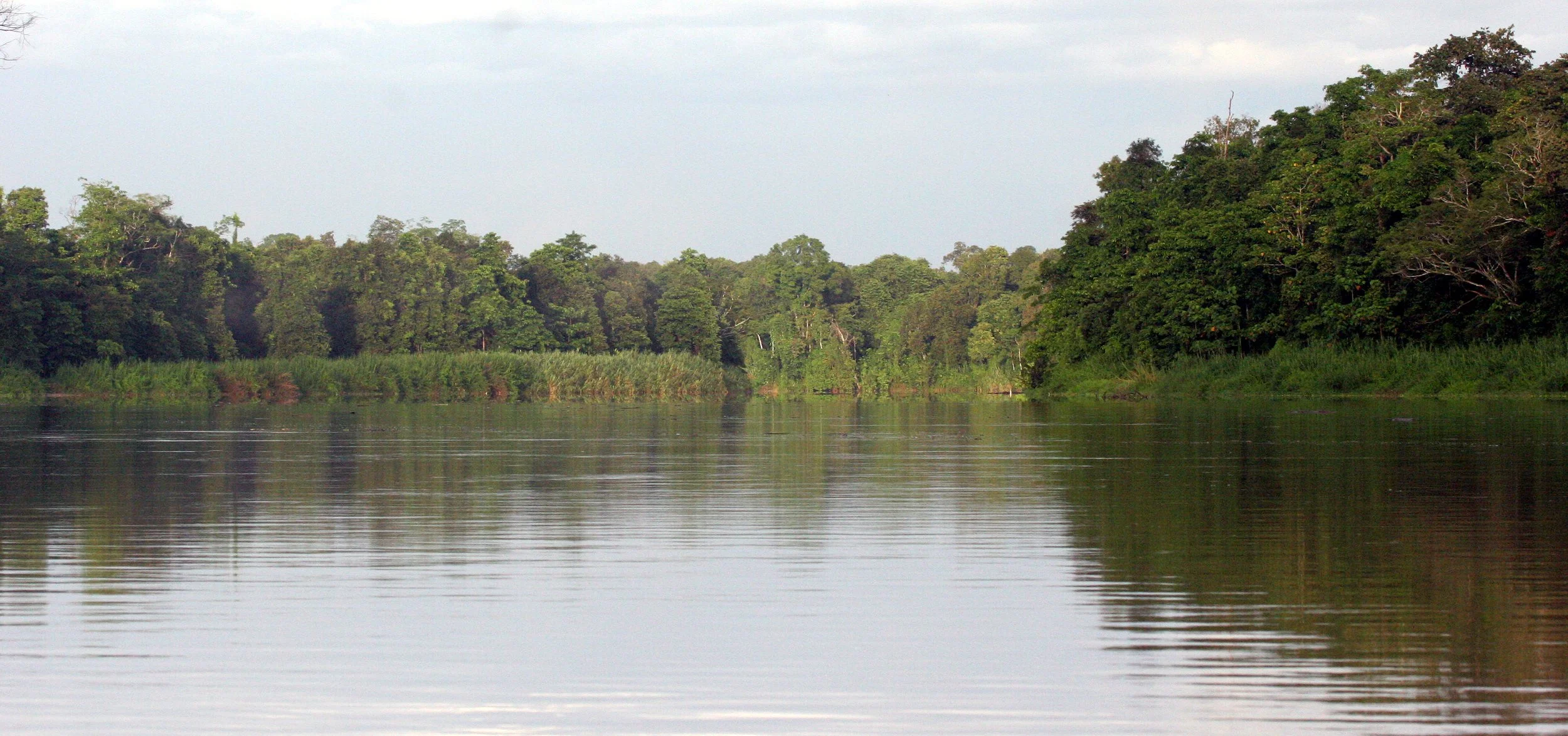 KINABATANGAN RIVER BORNEO (4).JPG