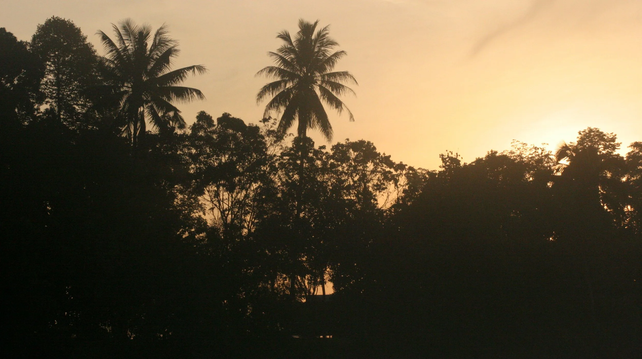 KINABATANGAN RIVER BORNEO - SUNSET (6).JPG