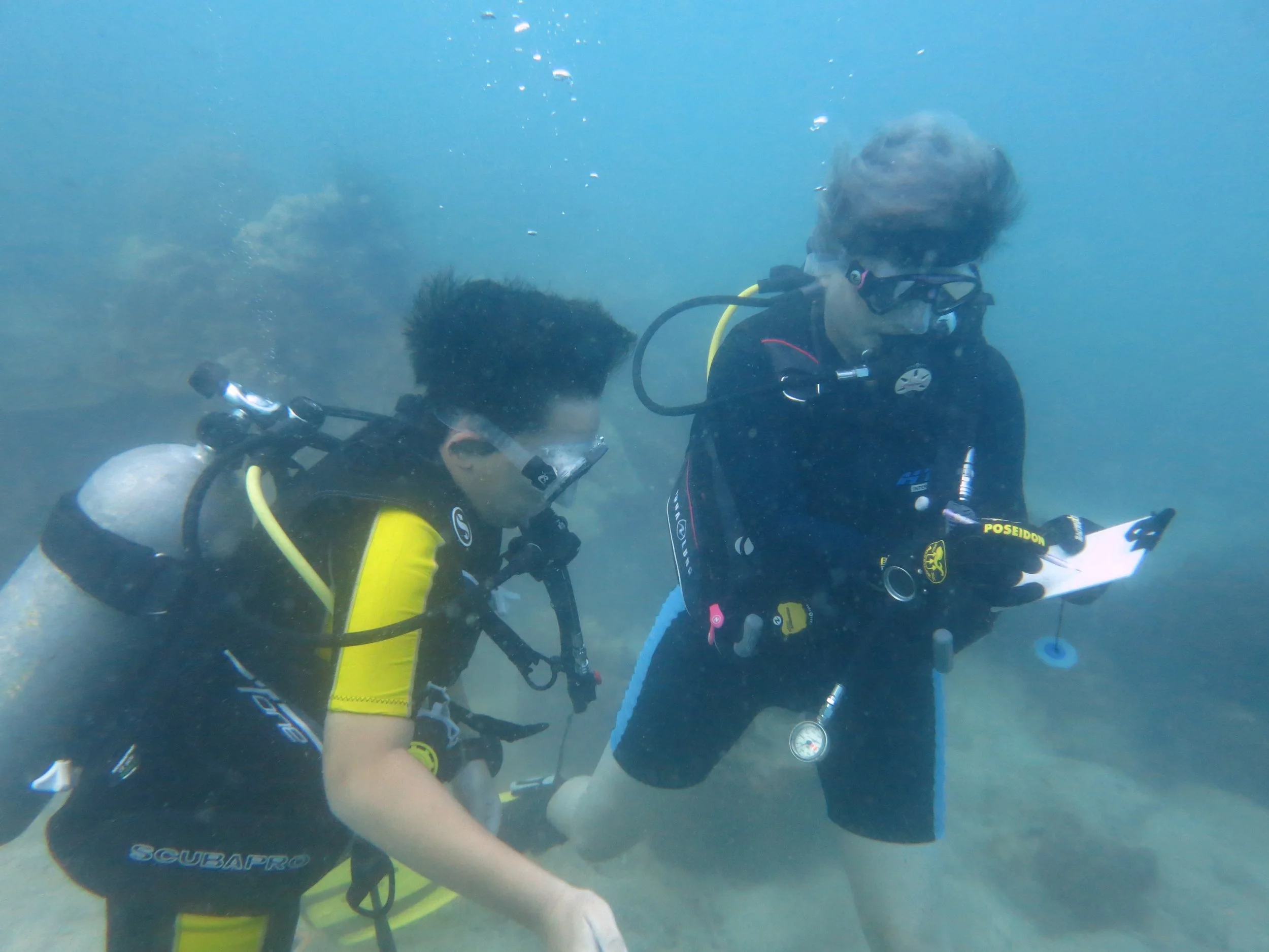 2016 BPS Satthahip Dive Trip with Marine Conservation Club (9).JPG