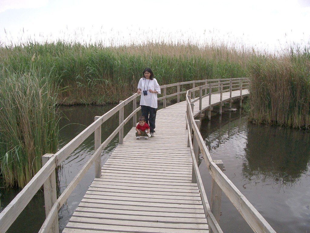 AZRAQ WETLANDS (4).JPG
