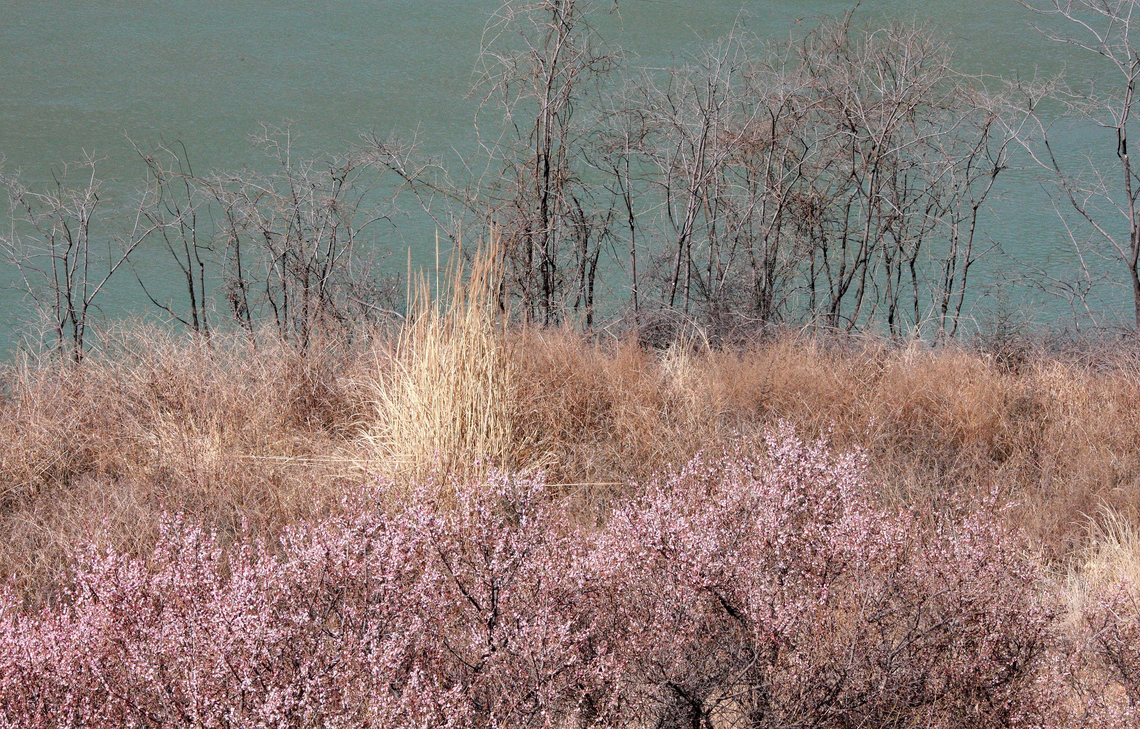 YUNNAN - JADE DRAGON SNOW MOUNTAIN AND SURROUNDING RANGES - YANGTZE RIVER IN FOREGROUND (5).JPG