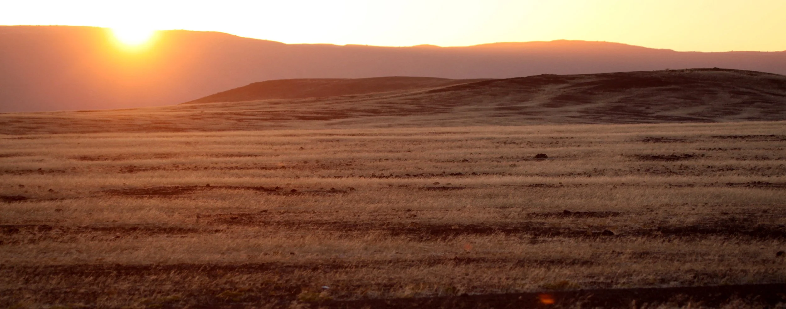 NAMIBIA - SKELETON COAST NATIONAL PARK - EAST ENTRANCE (7).JPG