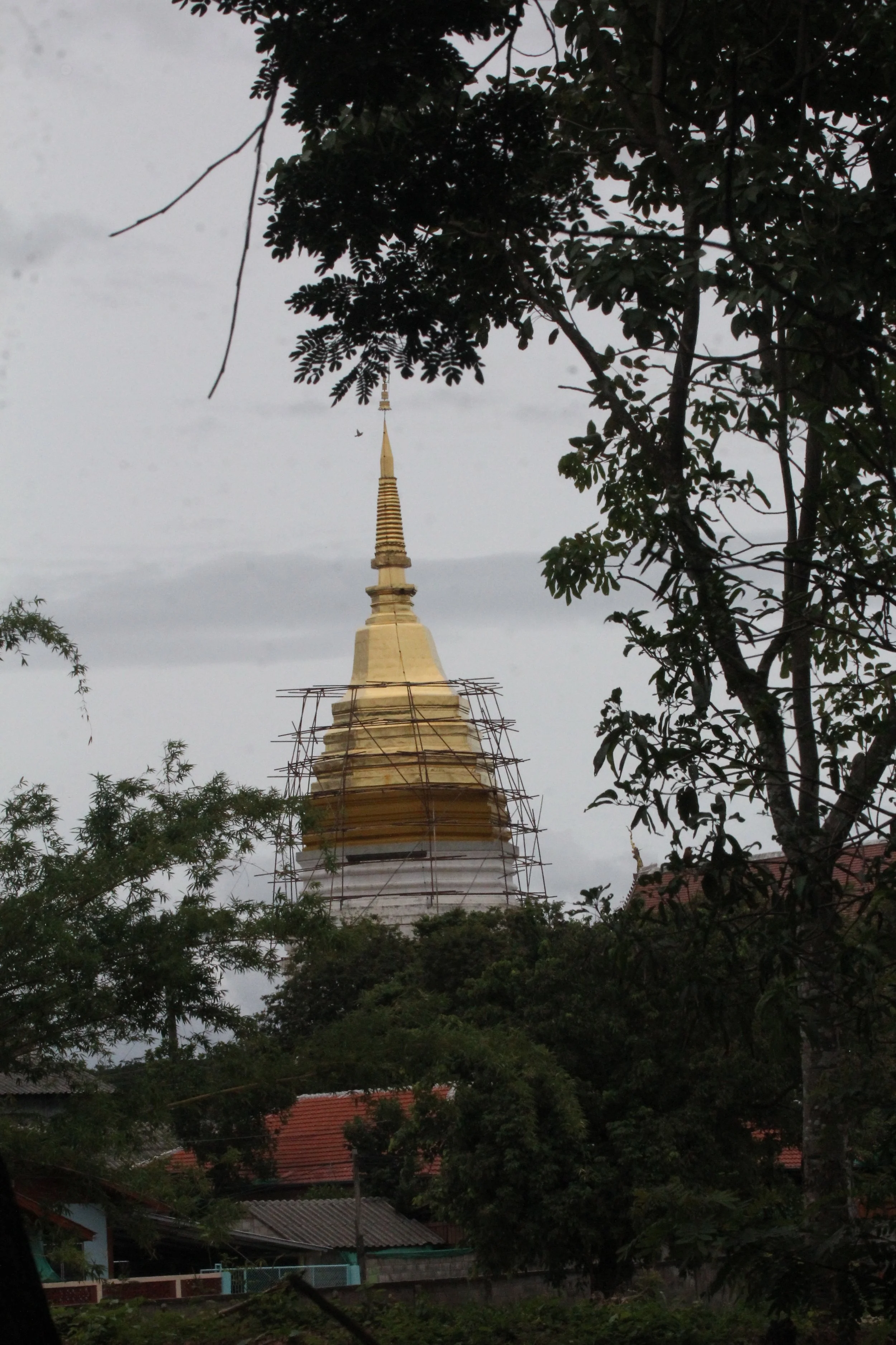 2020 1-2 July Phayao North Thailand Road Trip (33).JPG