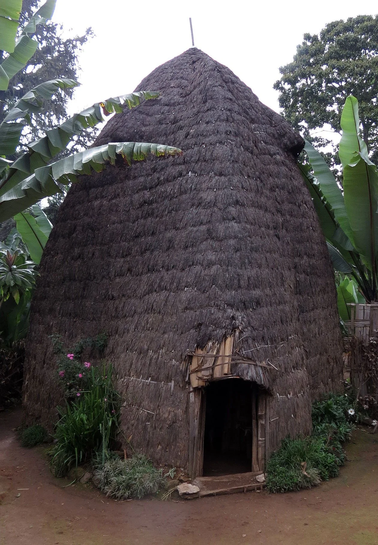 CHENCHA ETHIOPIA DORZE VILLAGE (1).JPG