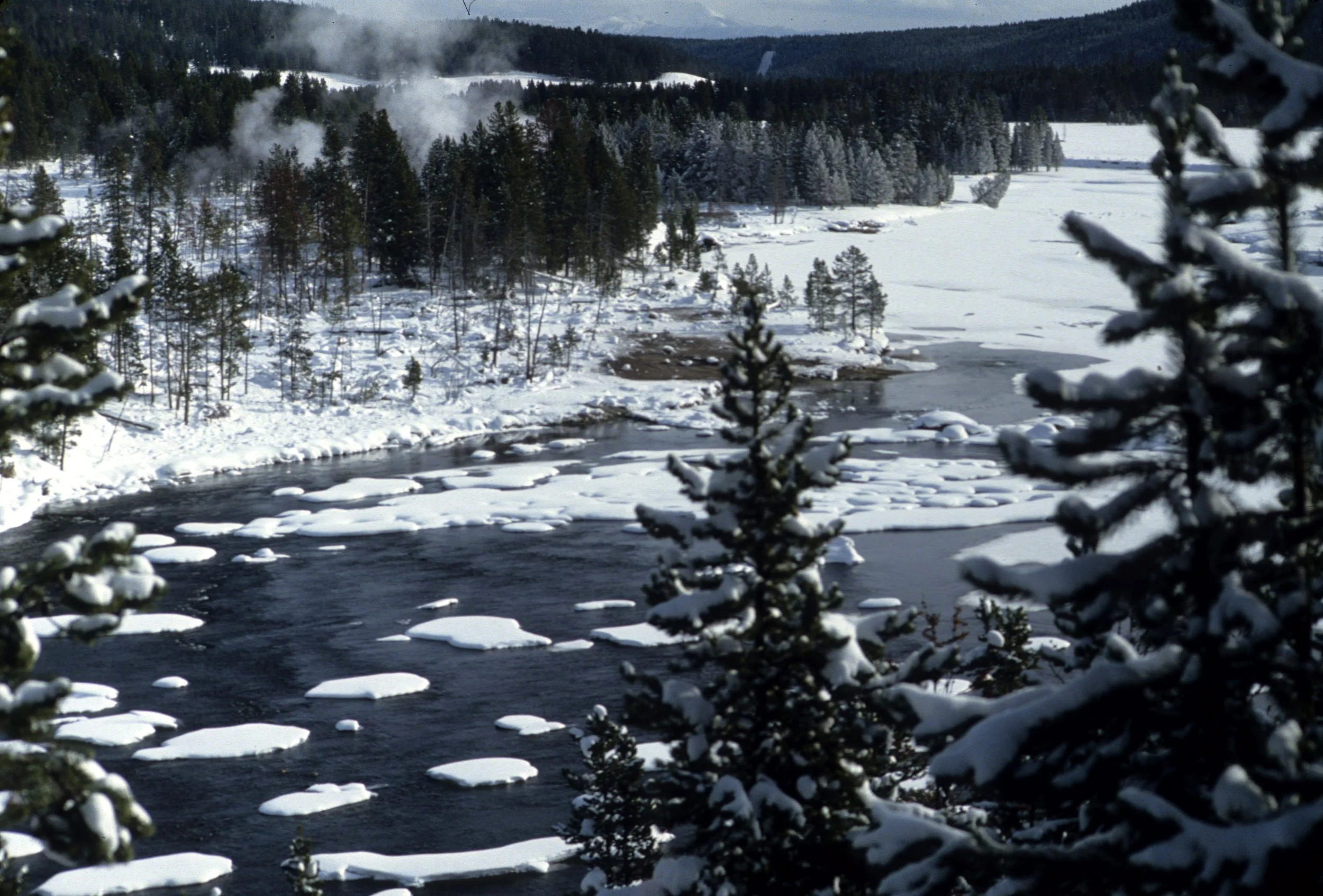 YELLOWSTONE IN WINTER C.jpg
