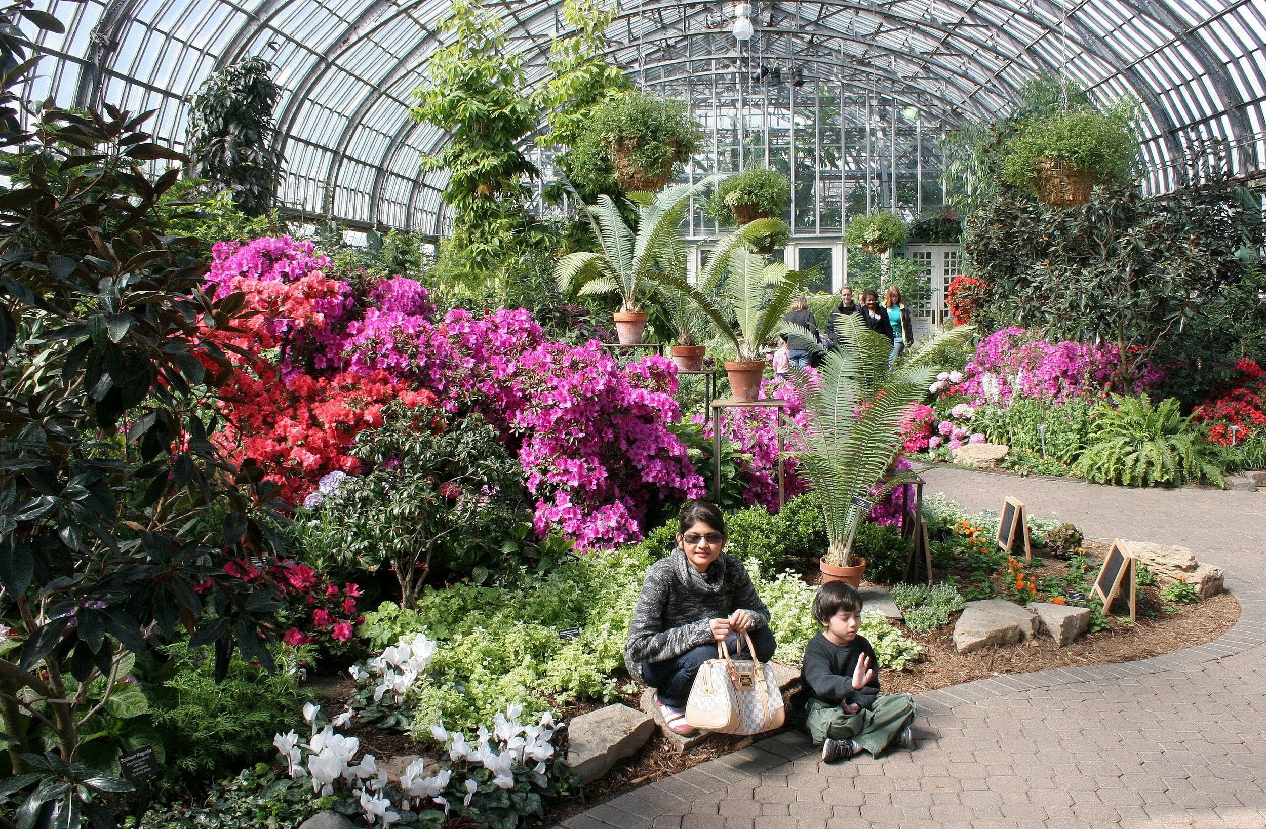 2008-4-3 CHICAGO SPRING TRIP - GARFIELD PARK CONSERVATORY (4).JPG