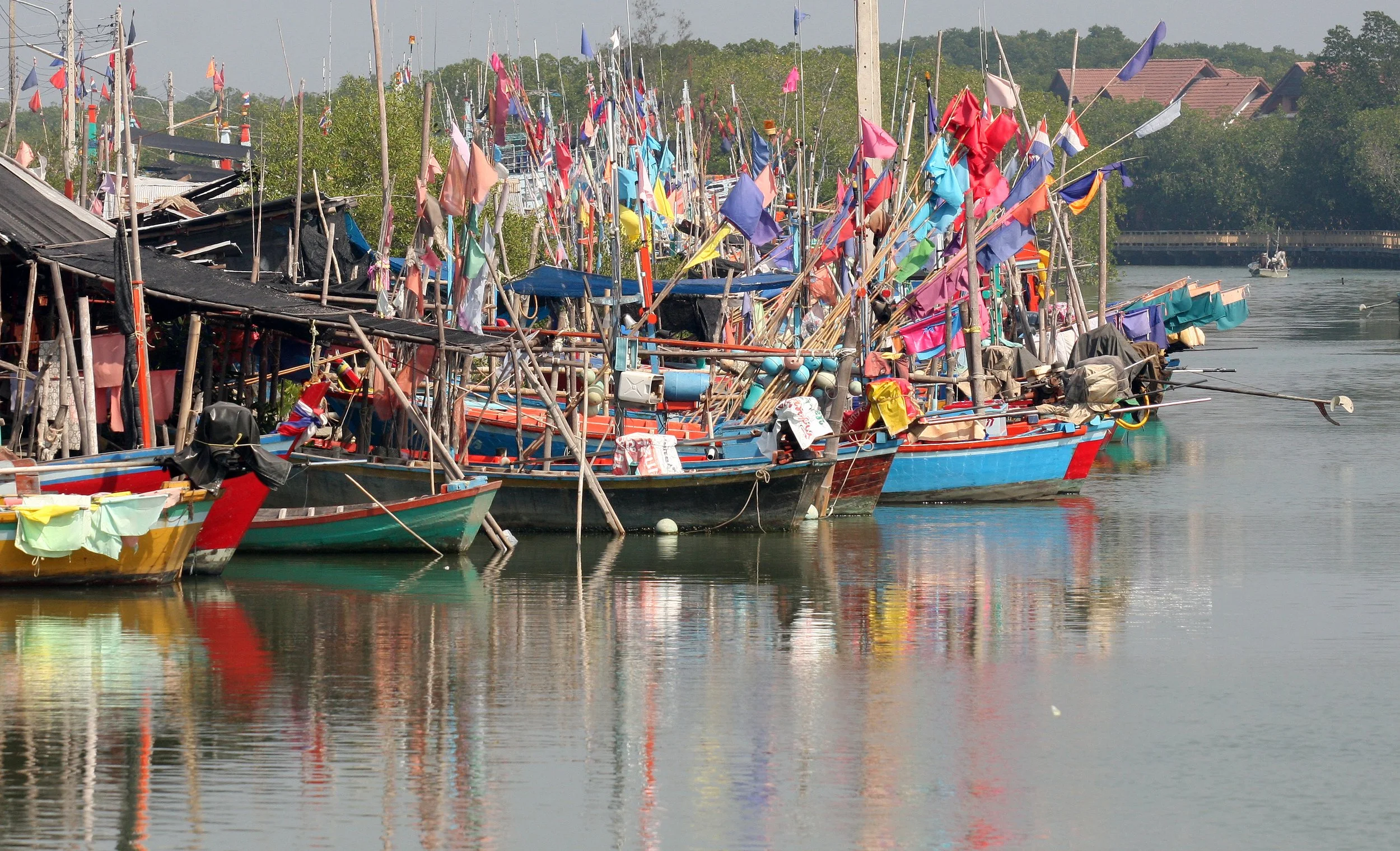 2011 Laem Pak Bia Winter Trip  (1).JPG