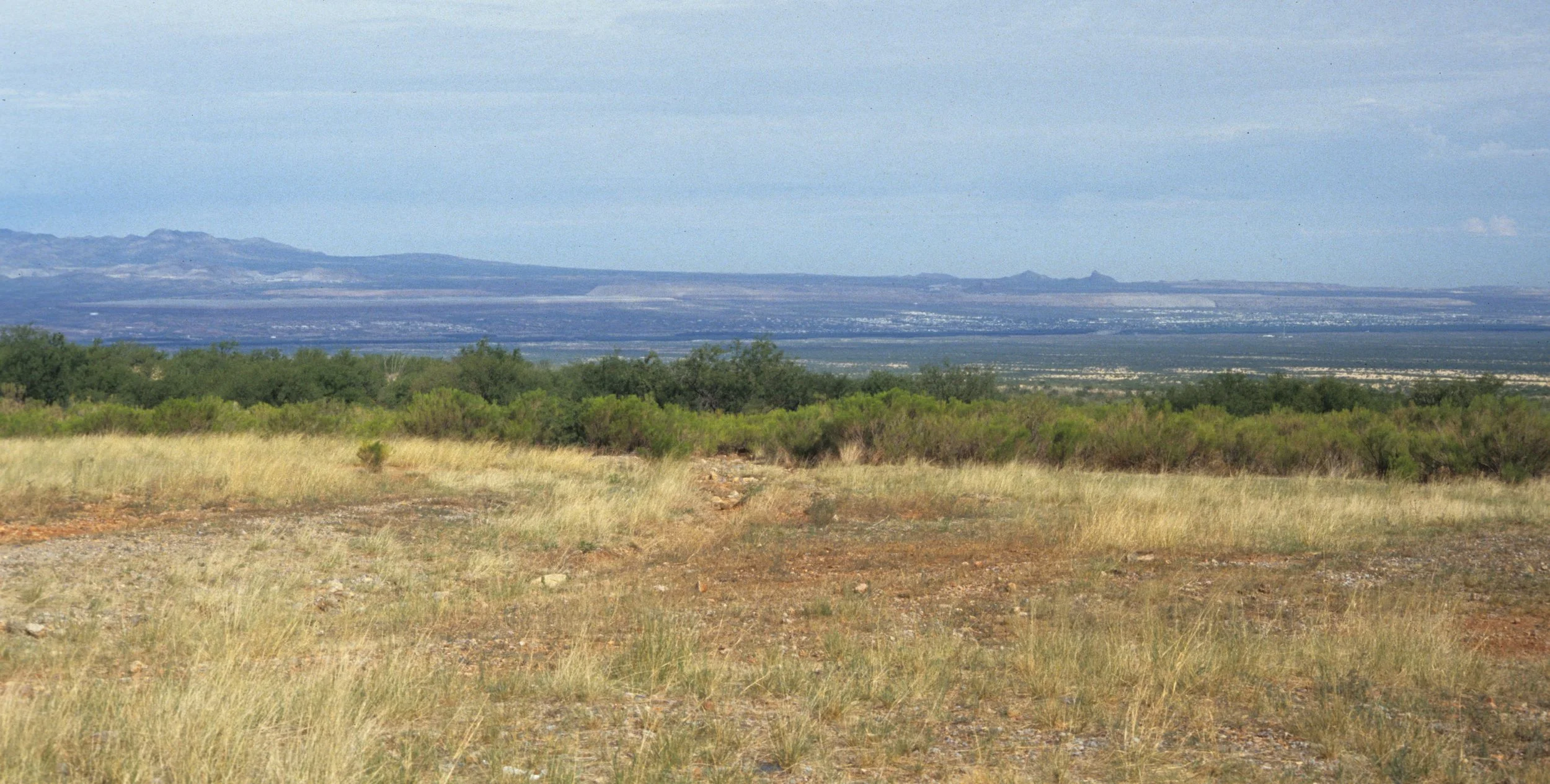 ARIZONA - MADERA CANYON - SONORAN DESERT VIEW.jpg