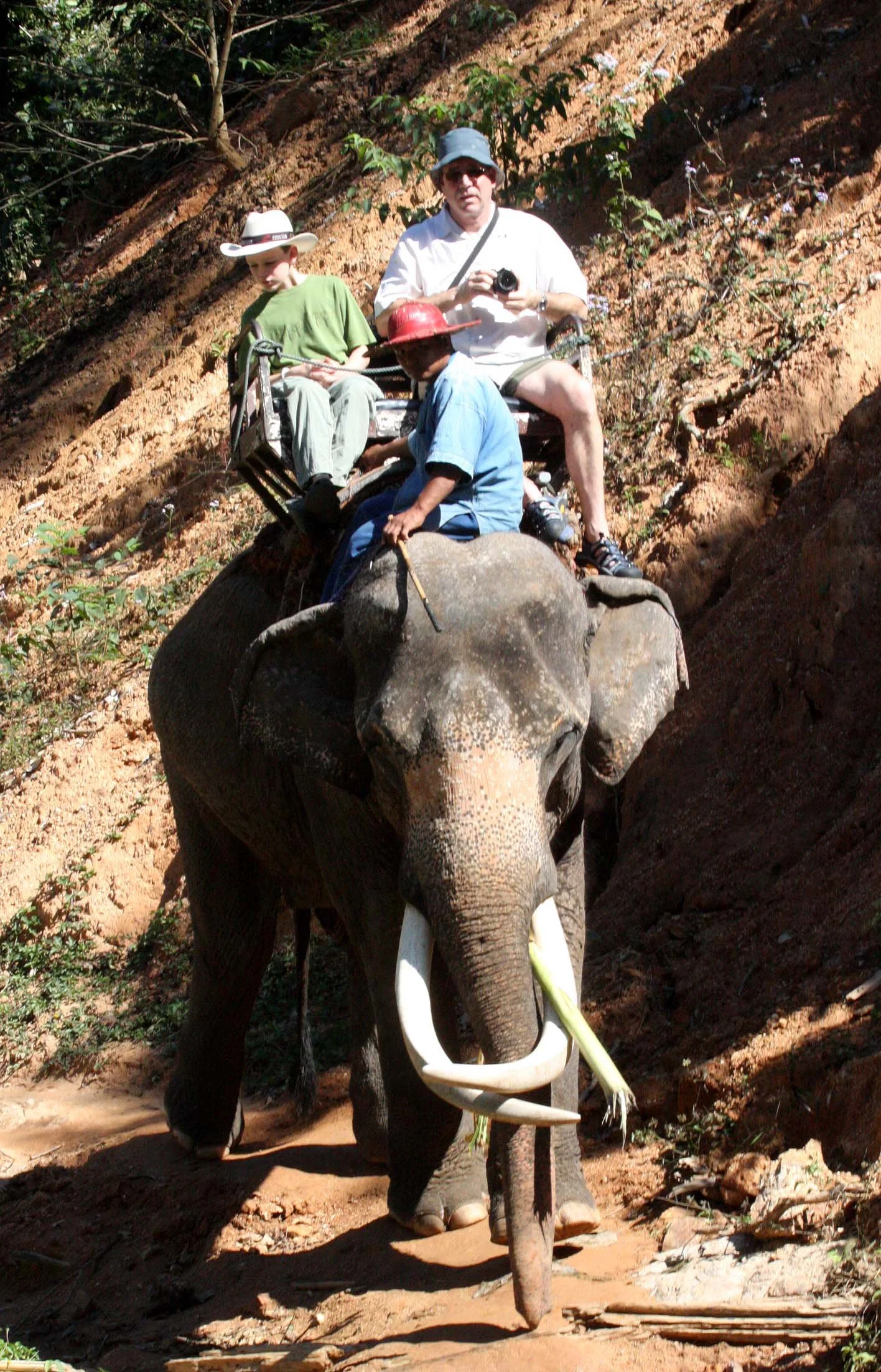 2008 Lampang City & Elephant Center (66).JPG