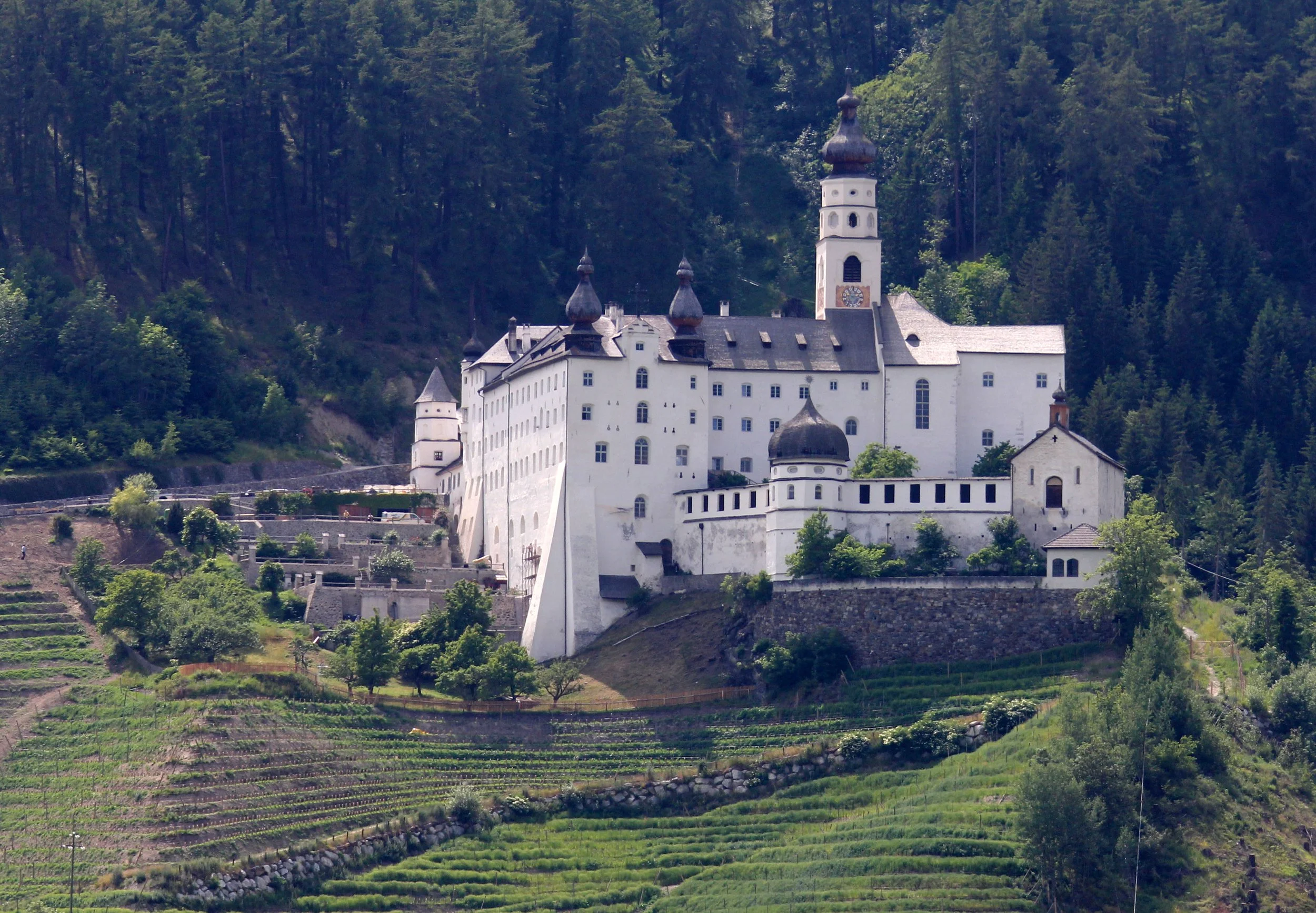 BURGOSIO ITALY - STELVIO NATIONAL PARK AREA (5).JPG