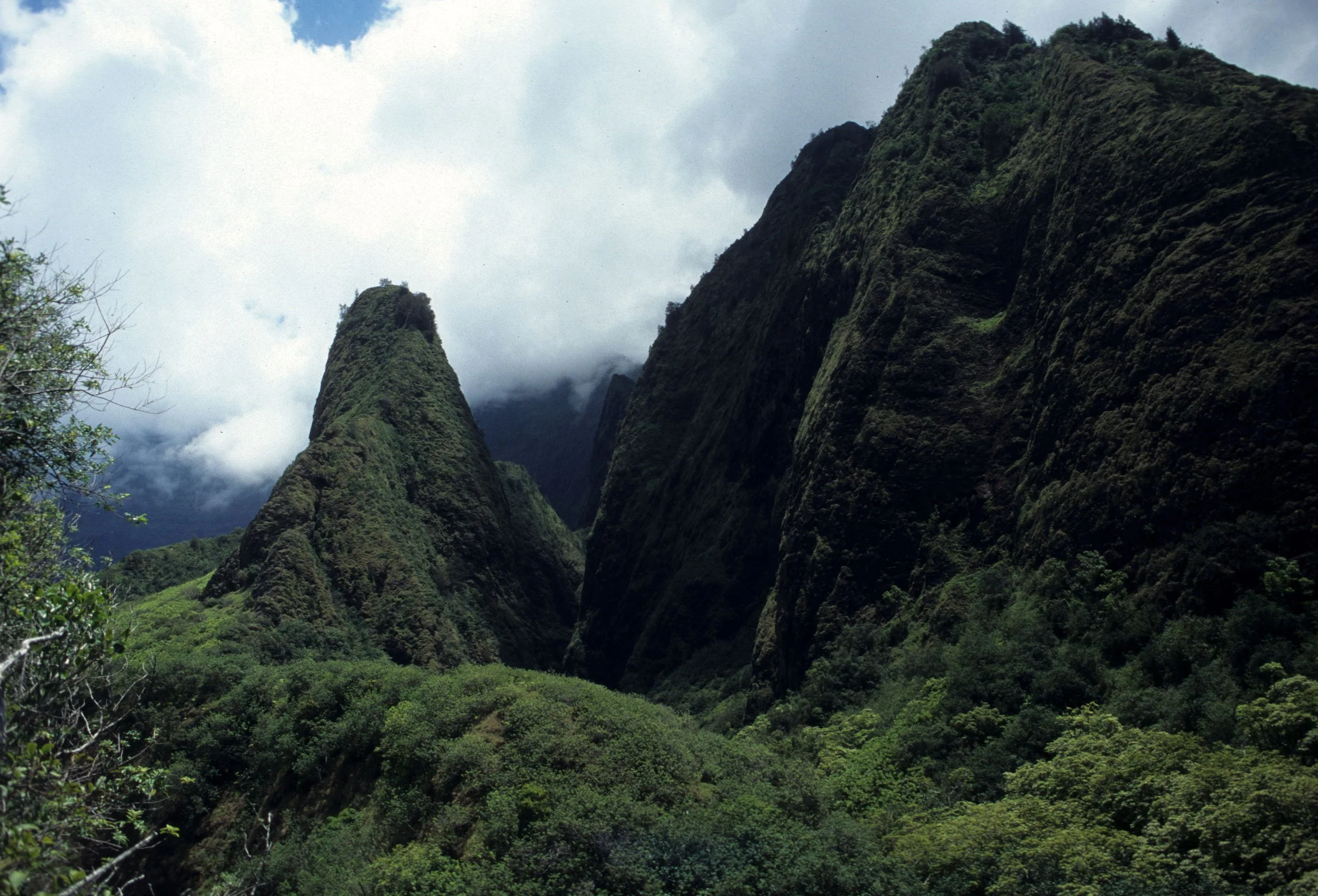 HAWAII - KAUAI - IAO VALLEY.jpg