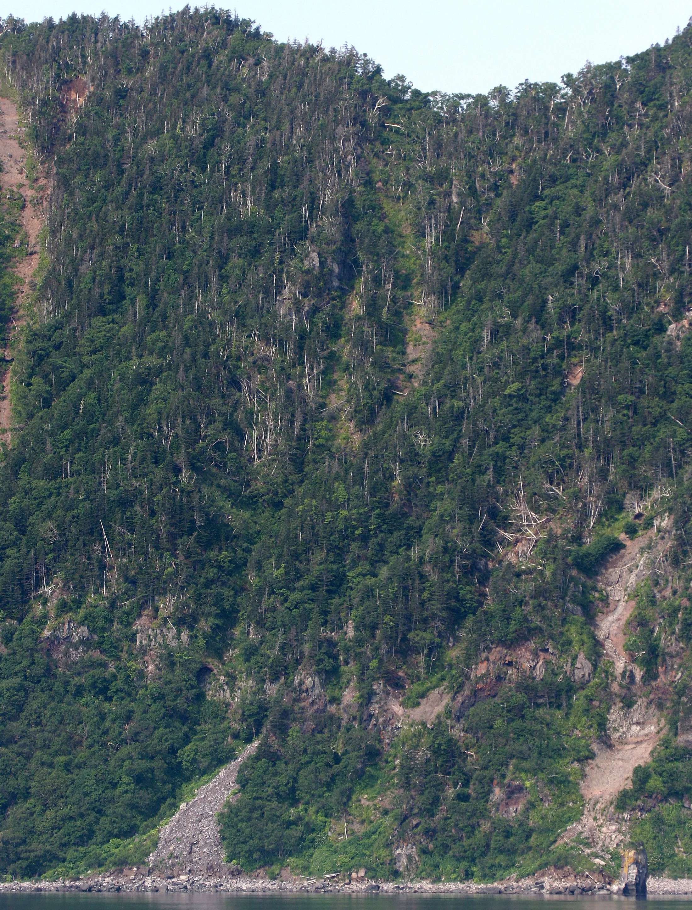 KURIL ISLANDS - FLORA  (9).jpg
