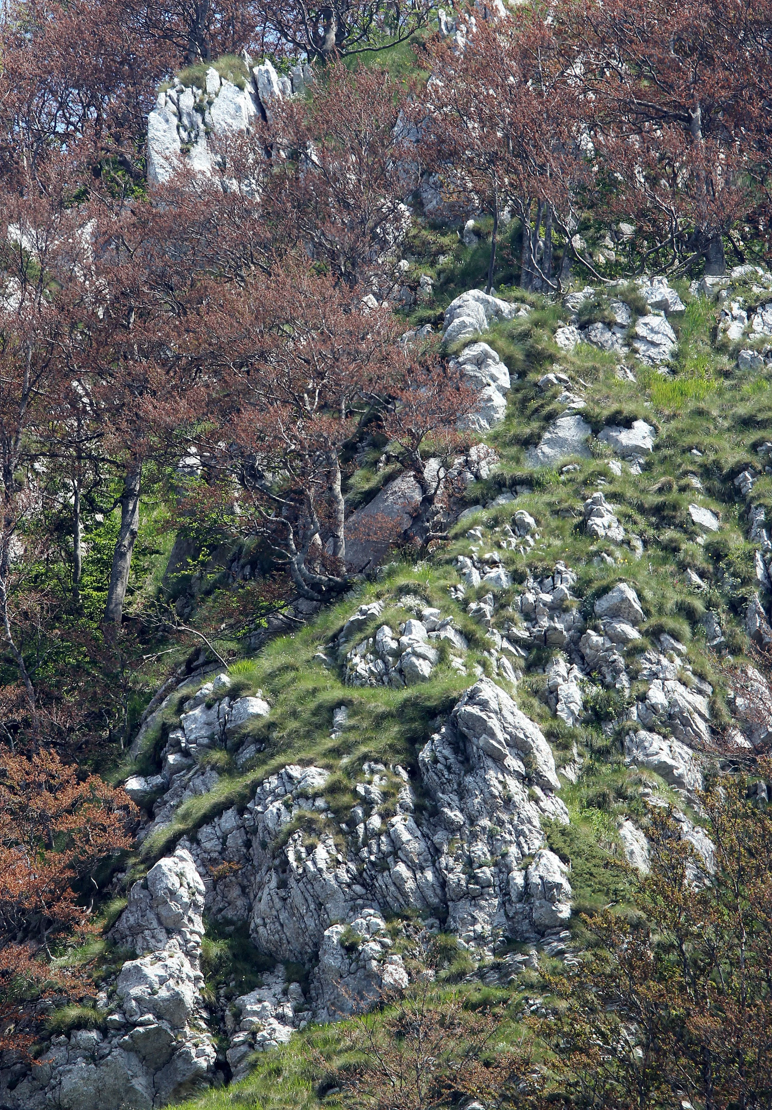 ABRUZZO NATIONAL PARK ITALY (62).JPG