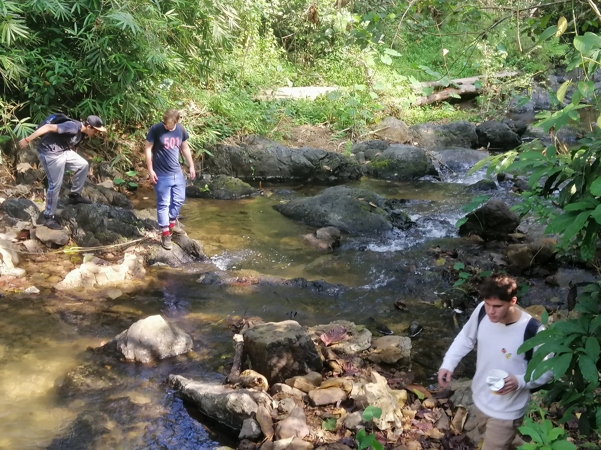 IMG_20190108_100623 (1).jpg