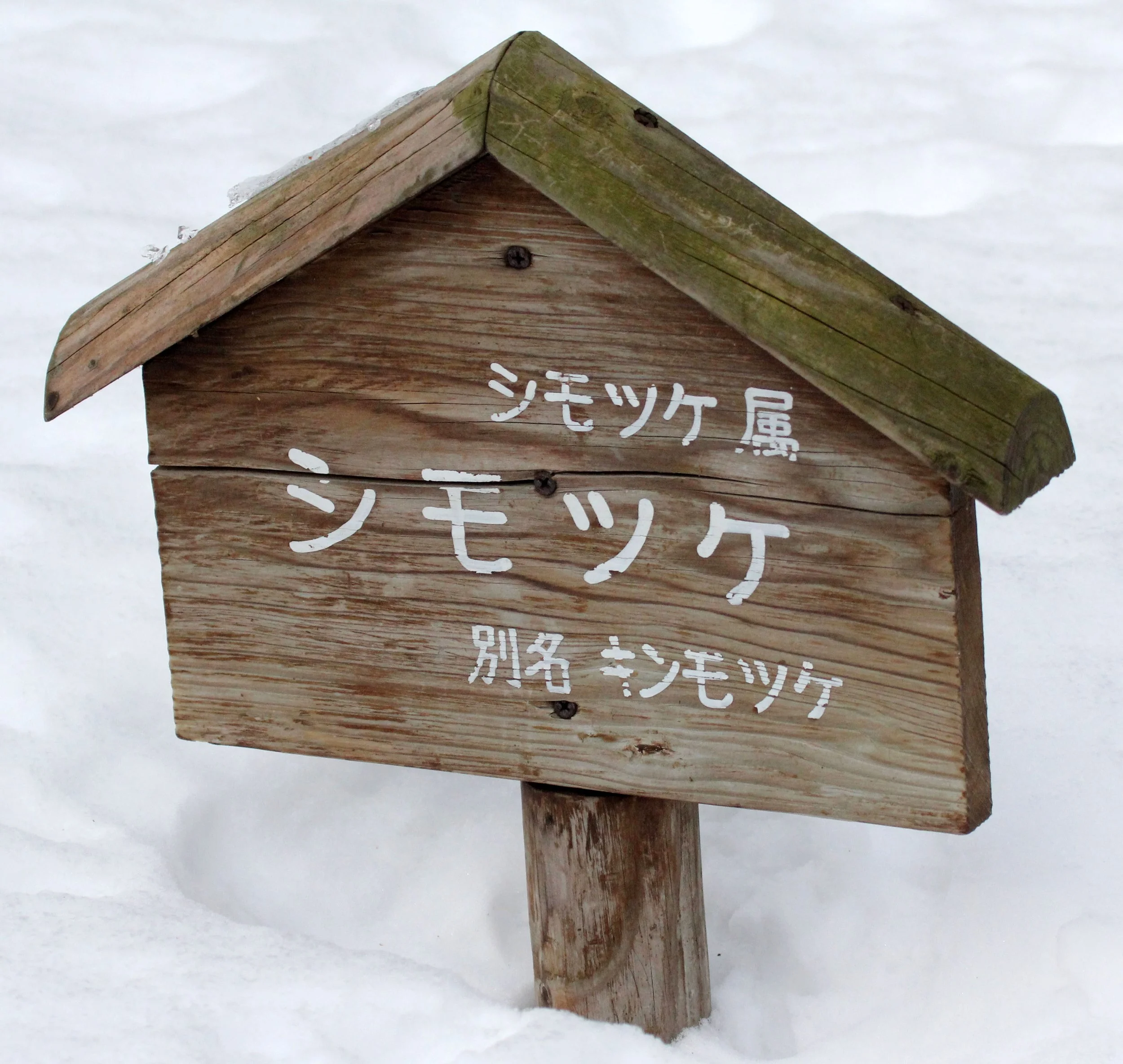 KINOHIROBA PARK - ABASHIRI - HOKKAIDO JAPAN (30).JPG