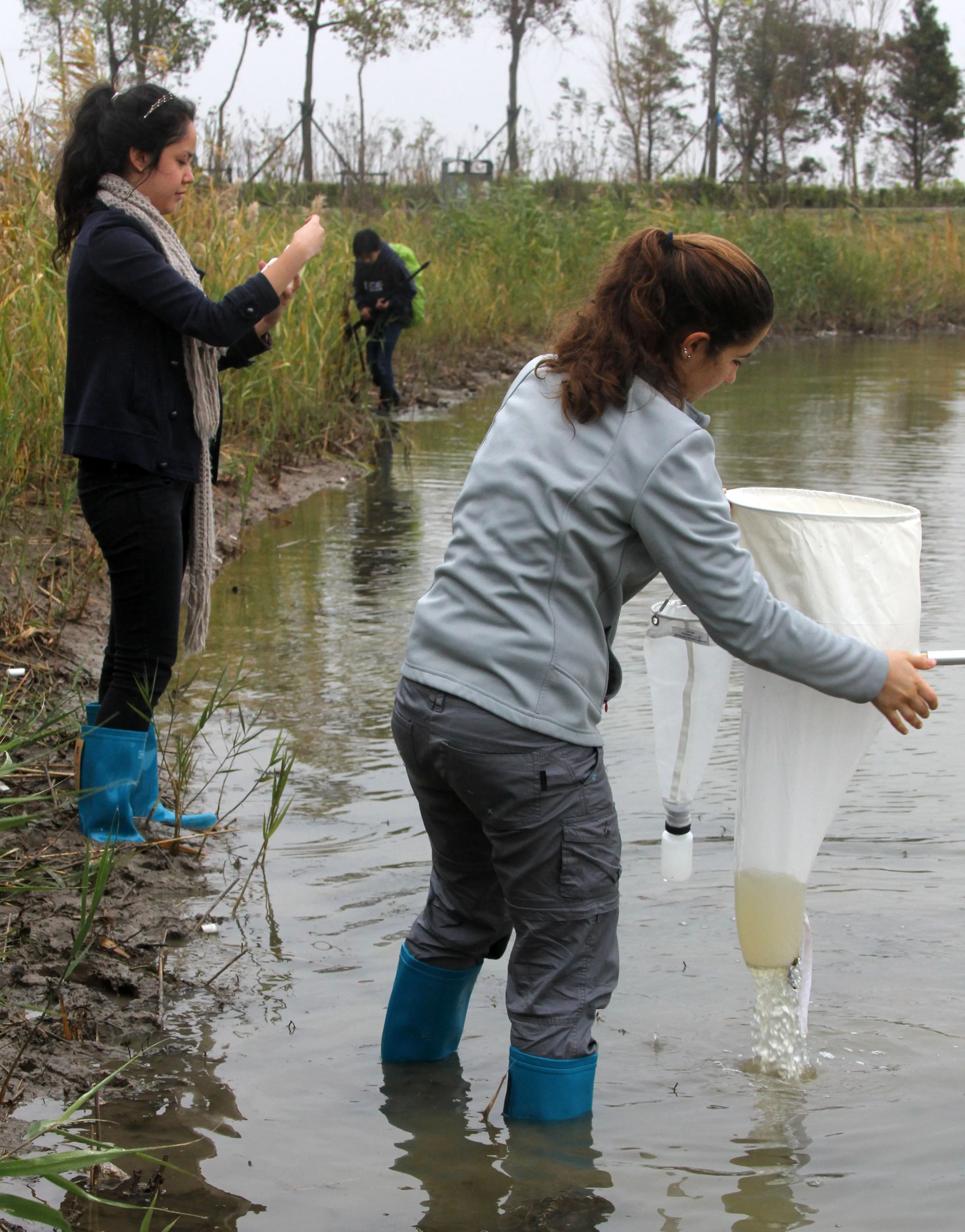CHONGMING ISLAND DONGTAN WETLAND RESERVE CHINA - FIELD TRIP WITH IB AND APES 2012 11-16 (18).JPG