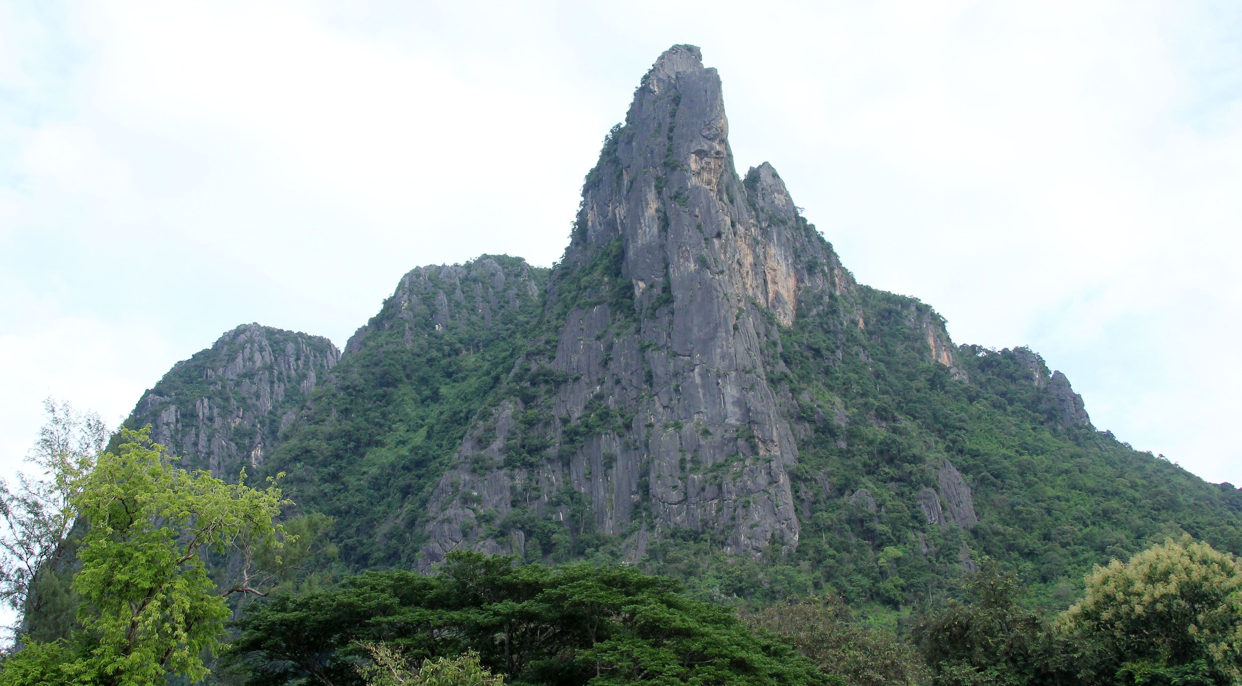 2017 Phu Khieo Wildlife Sanctuary  (24).JPG