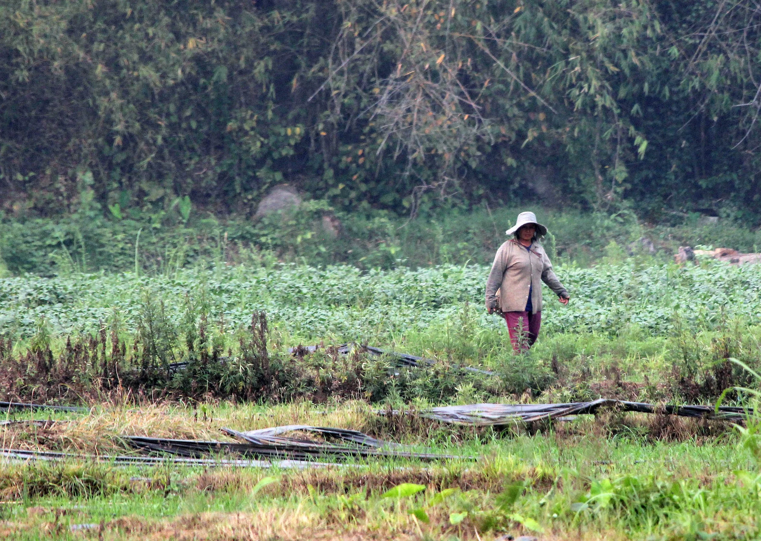 MAE KOK RIVER CHIANG RAI THAILAND (115).JPG