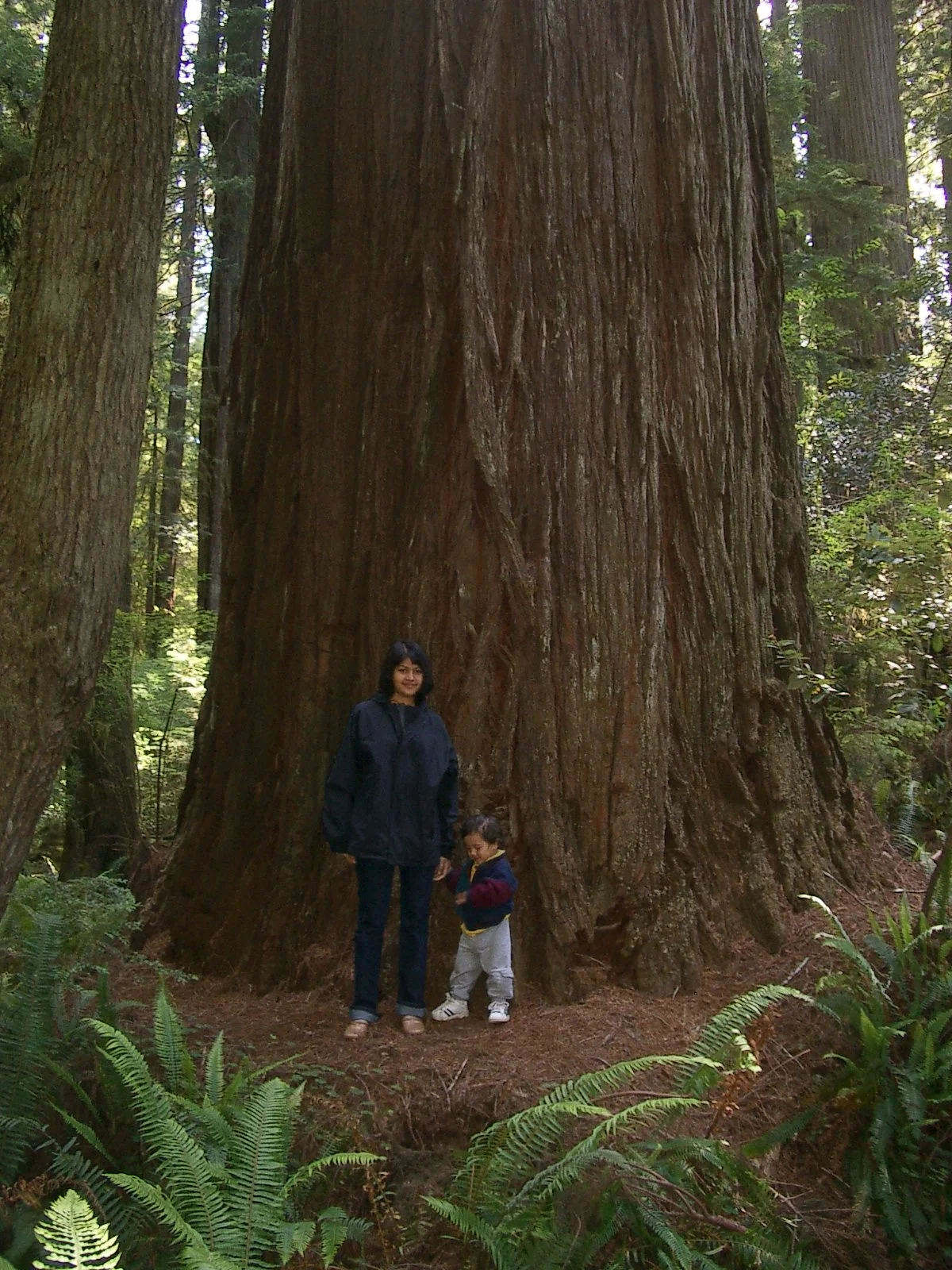 2004-6-12 LARRY AND KATRIS WEDDING IN EUREKA CALIFORNIA (197).JPG