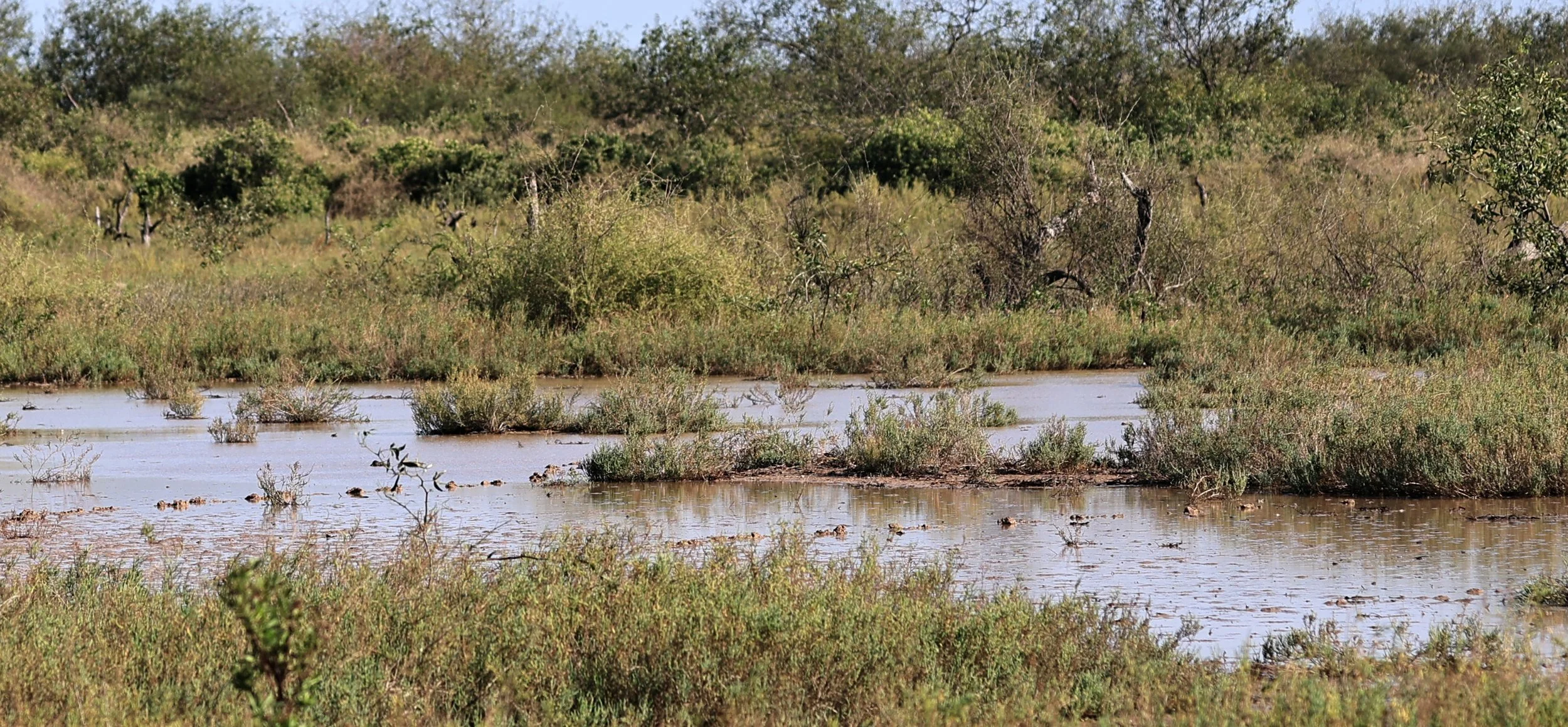 Chaco Lodge & Laguna Salada Paraguay (221).jpg
