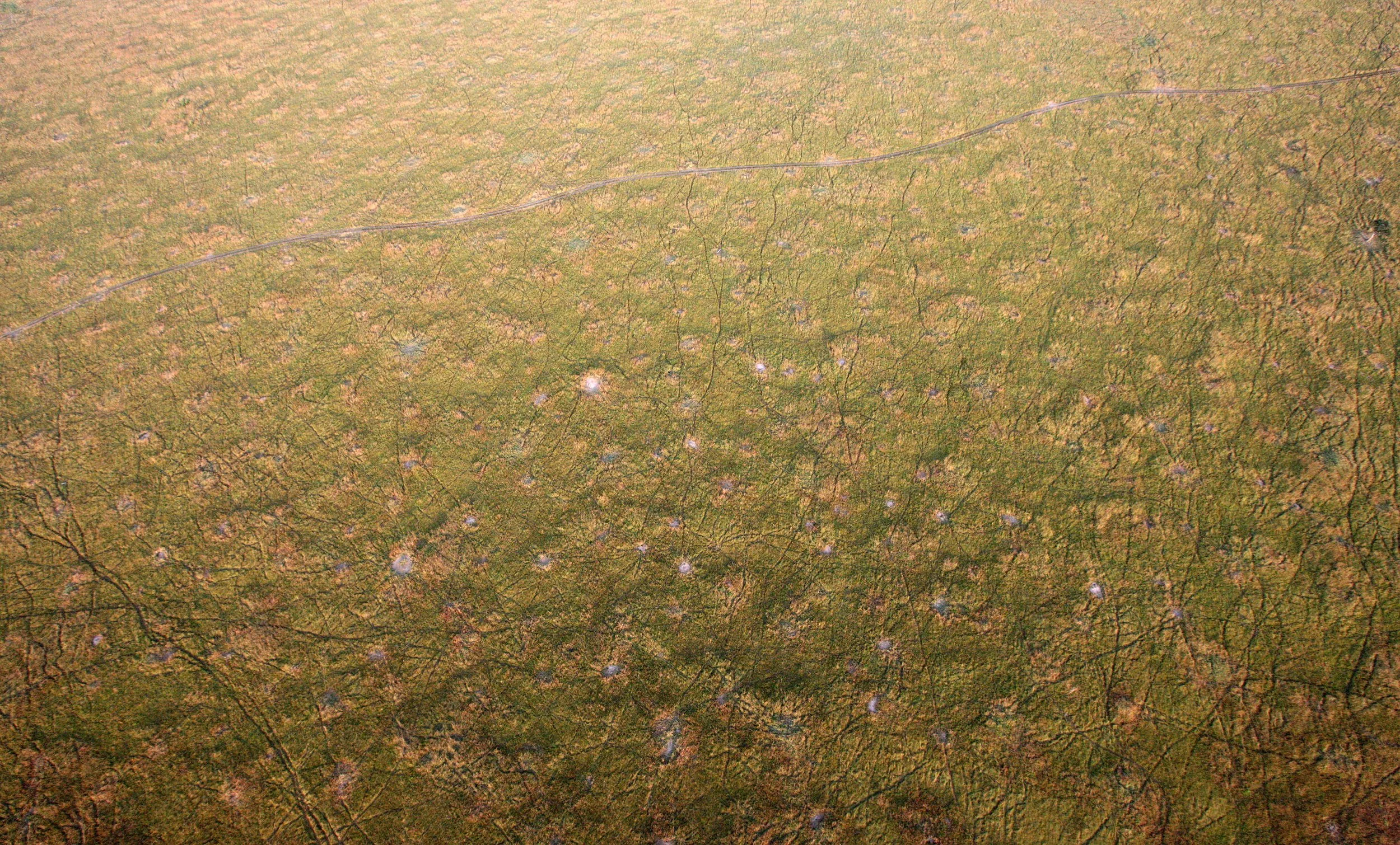 MASAI MARA NATIONAL PARK KENYA (113).JPG