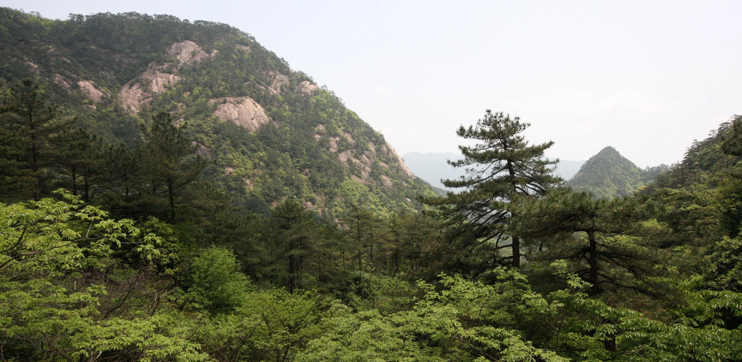 HUANGSHAN NATIONAL PARK ANHUI PROVINCE CHINA (2).JPG