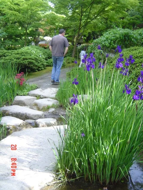 2006-5-20 DAY TRIP TO SEATTLE WITH POM AND FAMILY TO SEE BONSAI AND JAPANESE GARDENS ETC (23).jpg