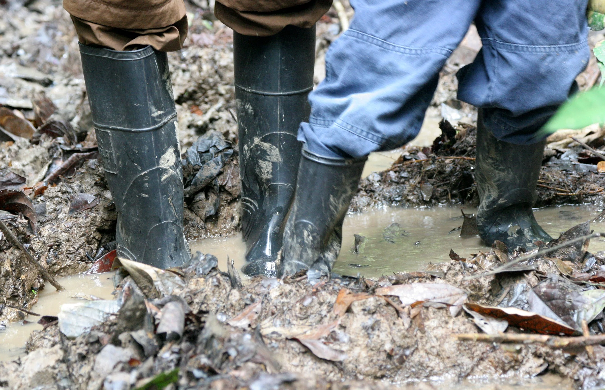 KINABATANGAN RIVER BORNEO - TREKKING GEAR.JPG
