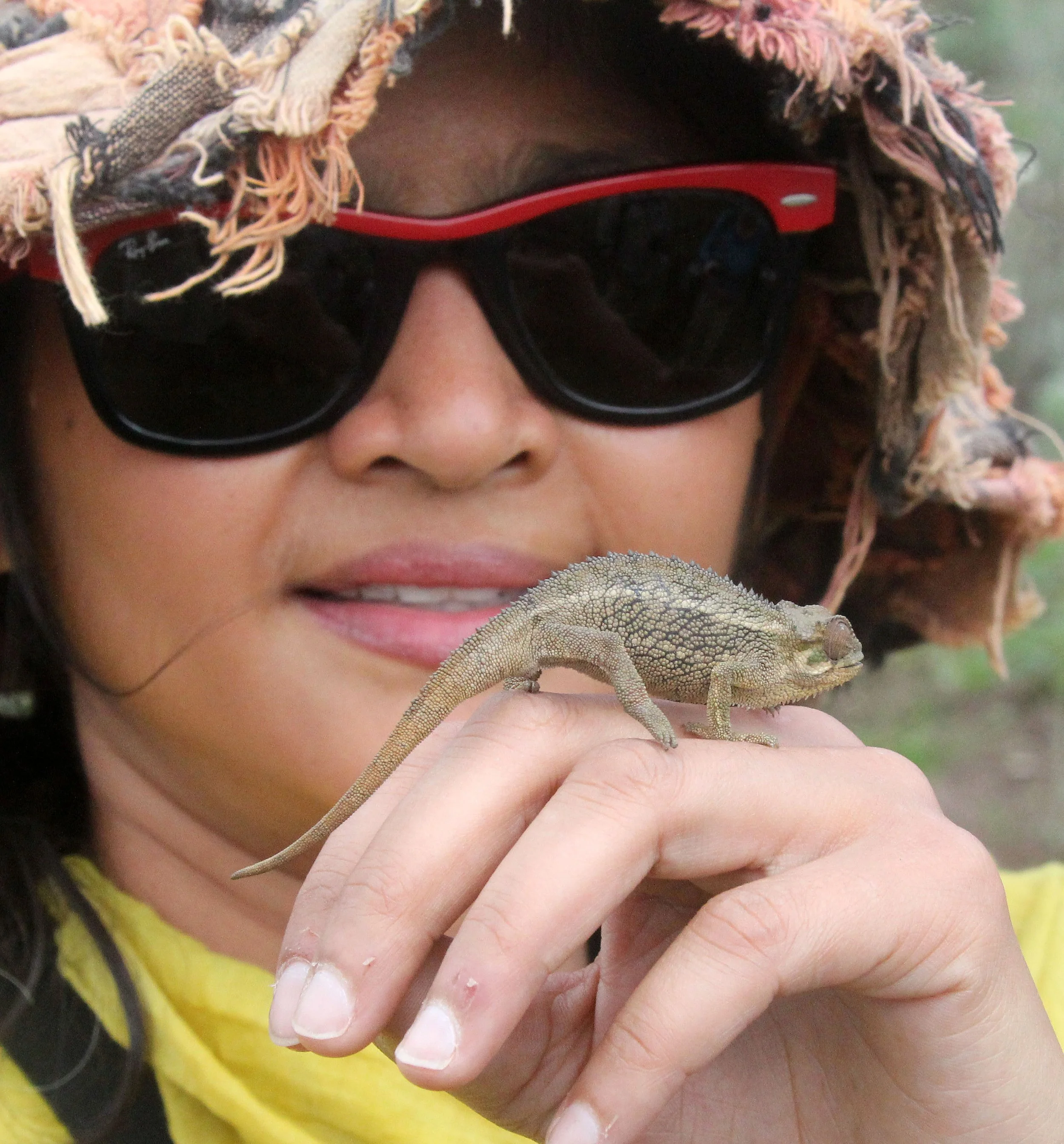 Trioceros rudis - RUDIS CHAMELEON - PARC DU VULCANS RWANDA 2012 (4).JPG