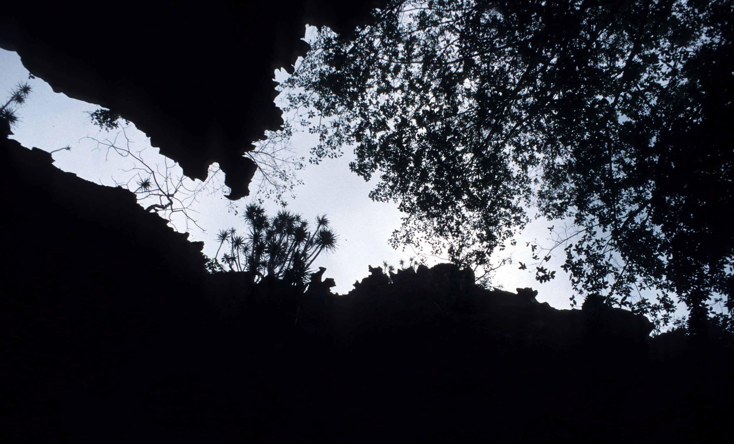 FLORES - CAVE A.jpg