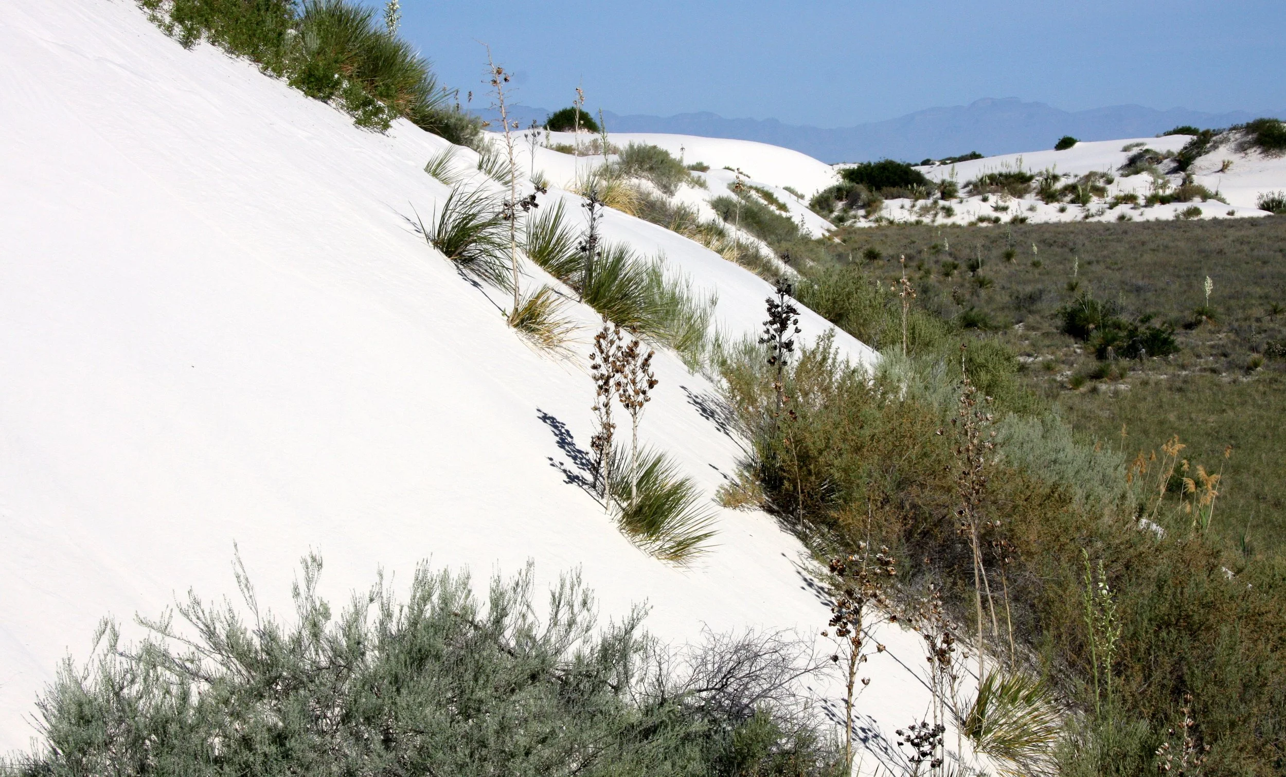 WHITE SANDS NATIONAL MONUMENT NEW MEXICO - VIEWS OF THE DUNES (12).JPG