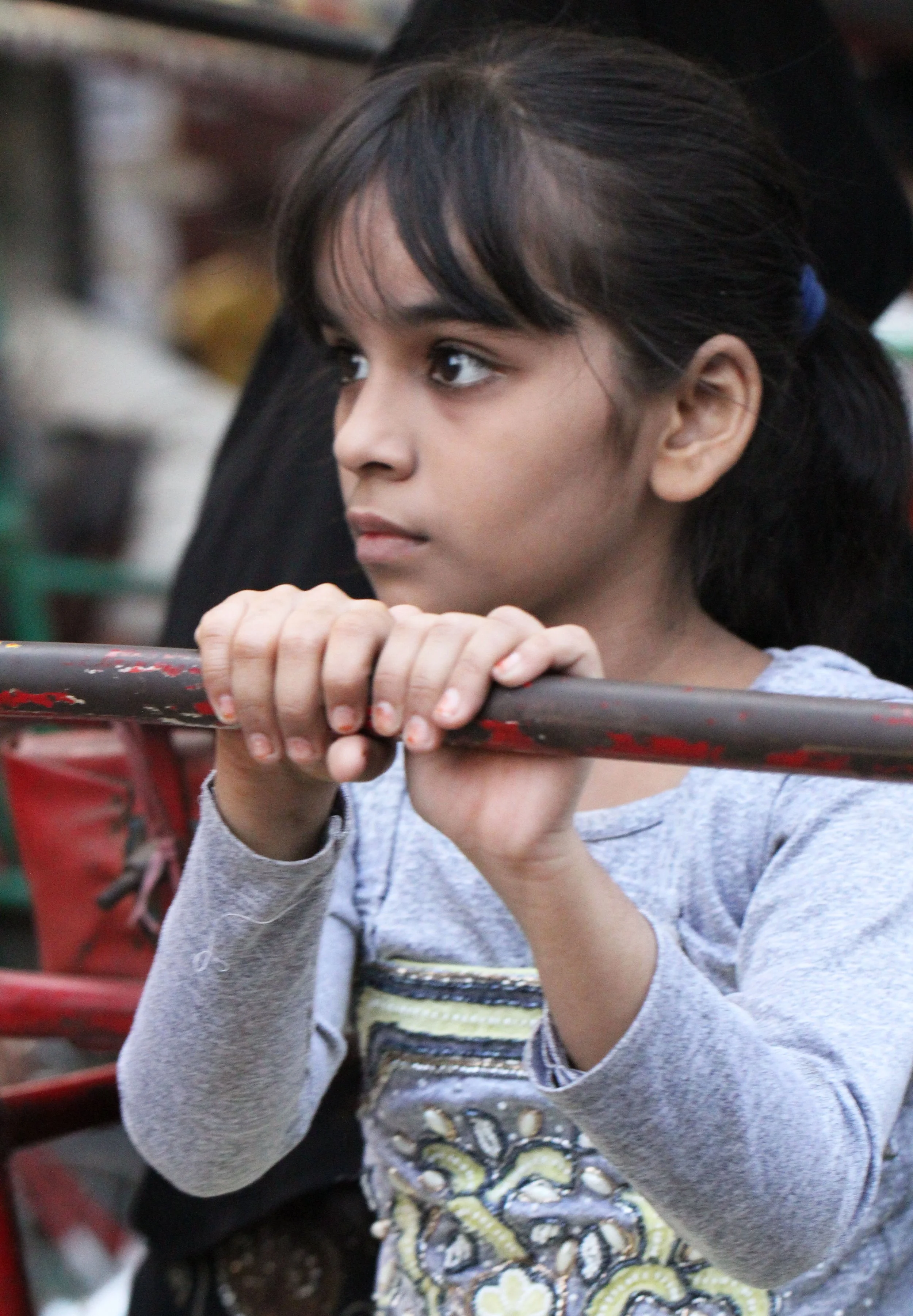 OLD DELHI INDIA - OCTOBER 2014 (63).JPG