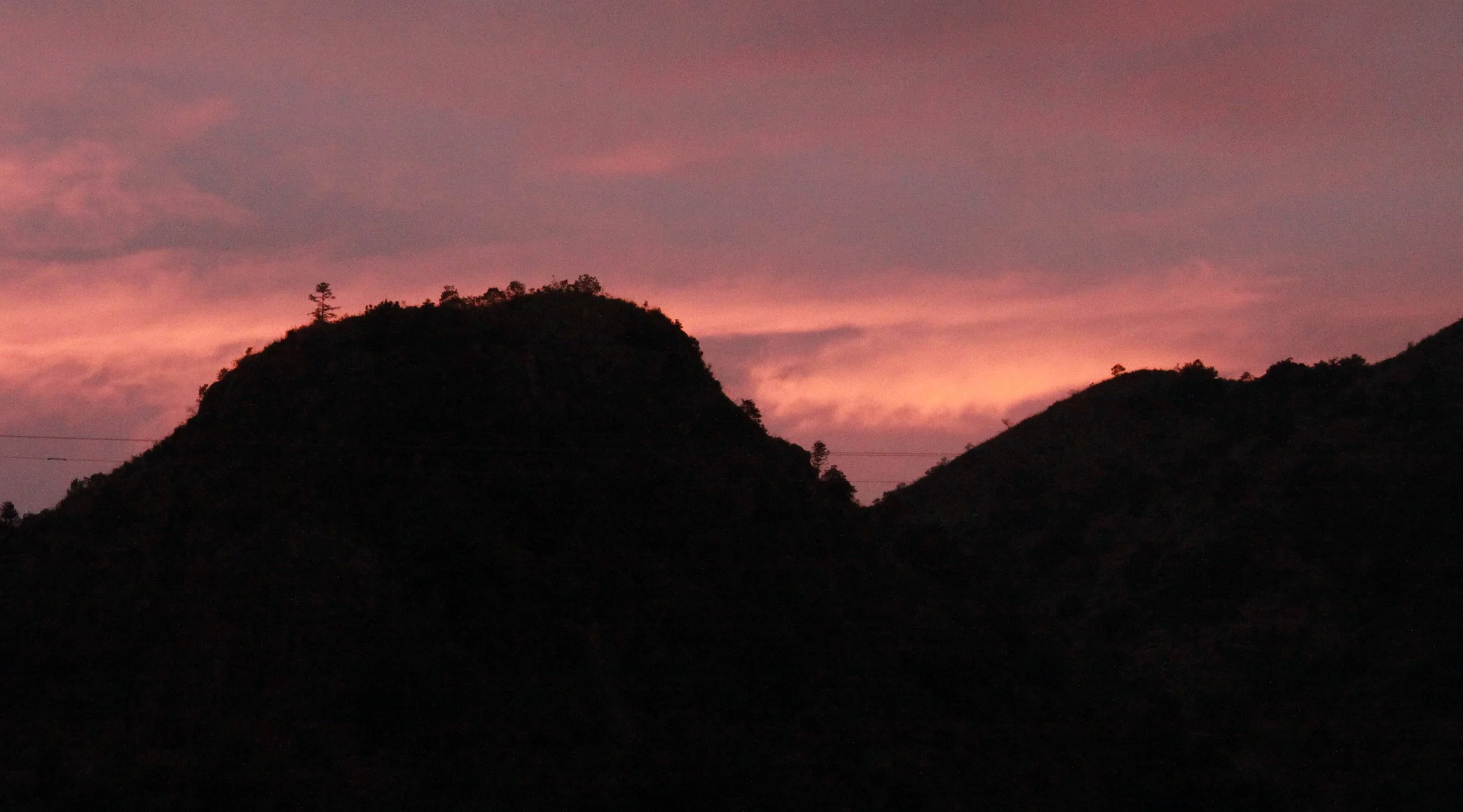 MEIHUASHAN - FUJIAN CHINA (97).JPG