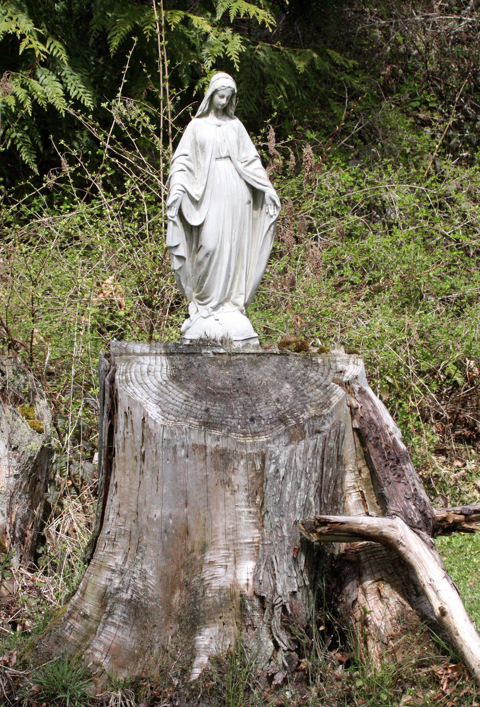 2009-4-19 BURNING DRESSERS FOR FUN (2).JPG