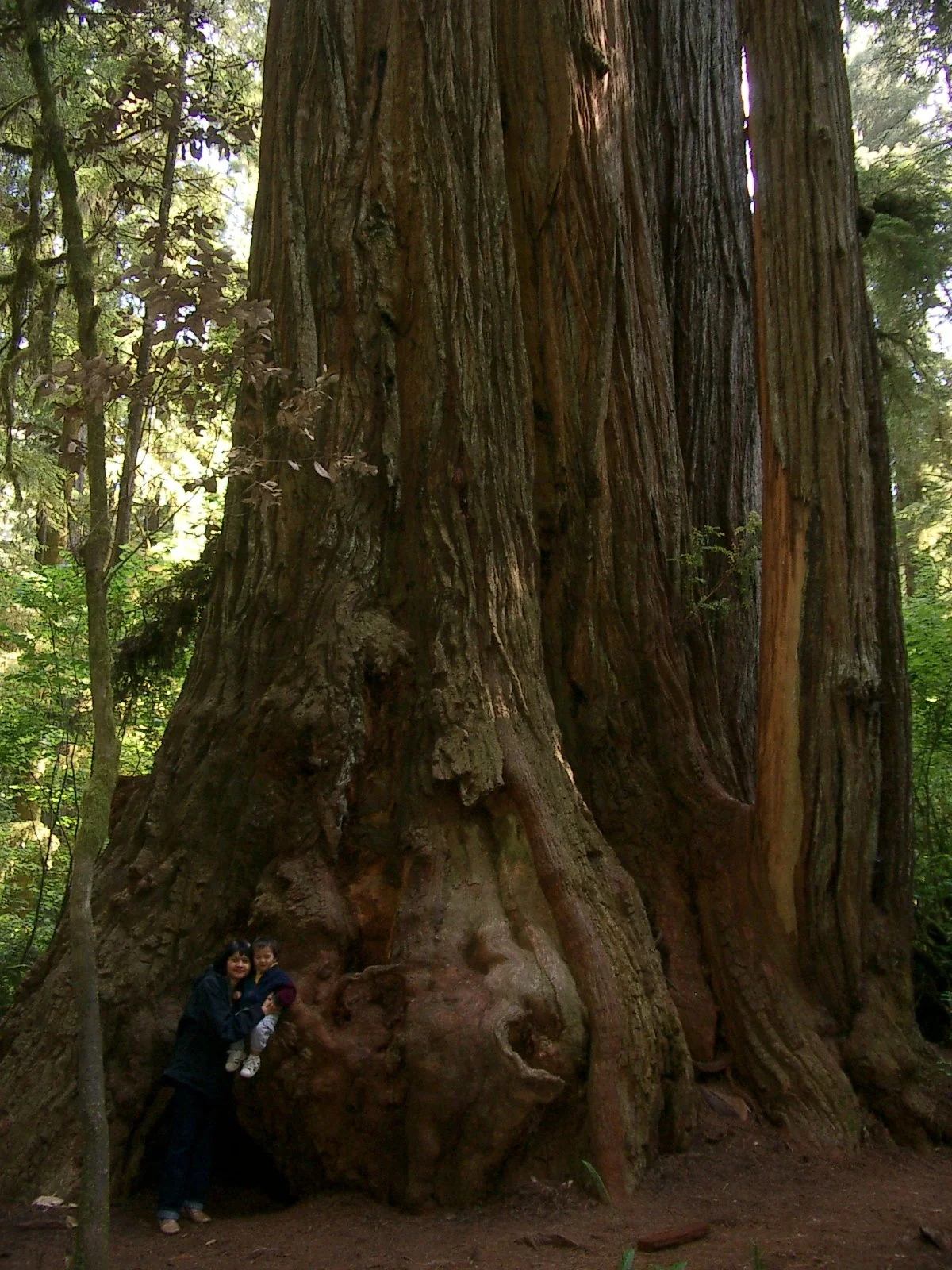 2004-6-12 LARRY AND KATRIS WEDDING IN EUREKA CALIFORNIA (27).JPG