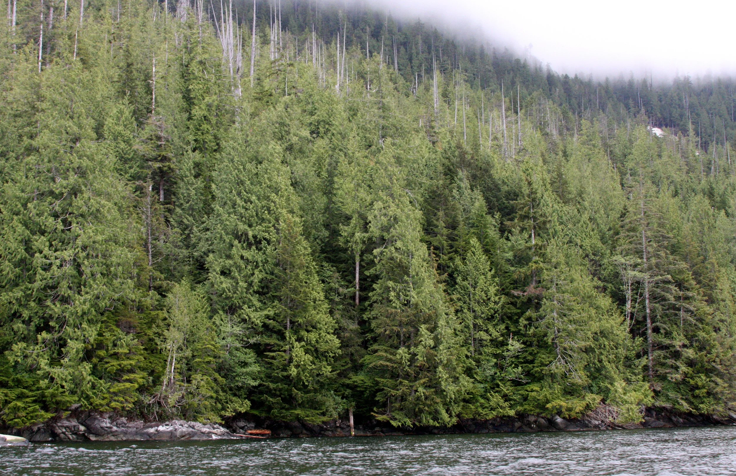 KNIGHT'S INLET BRITISH COLUMBIA - LANDSLIDES (2).JPG