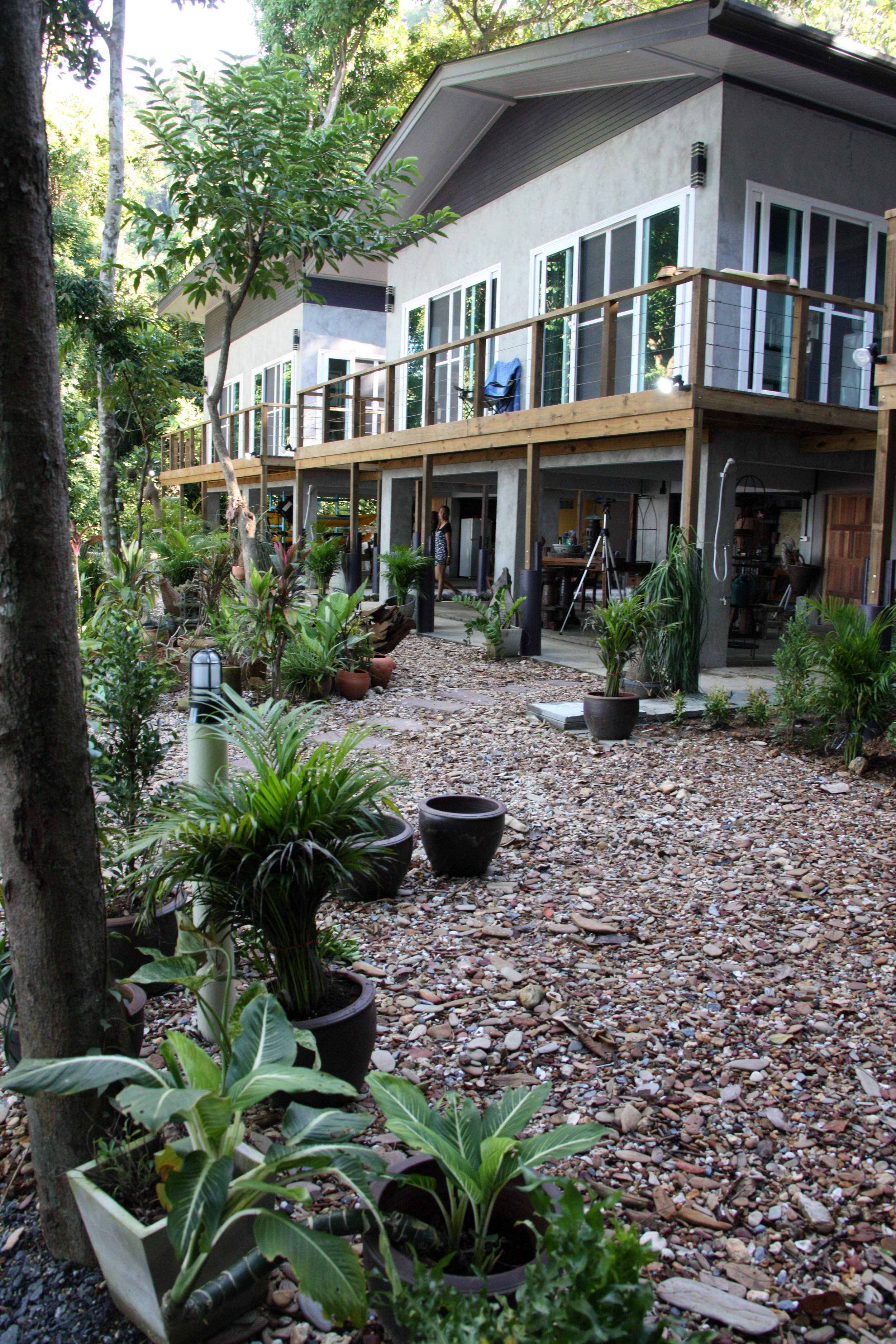 2016 Koh Lanta TheOtherSideVillas - Langur (11).JPG