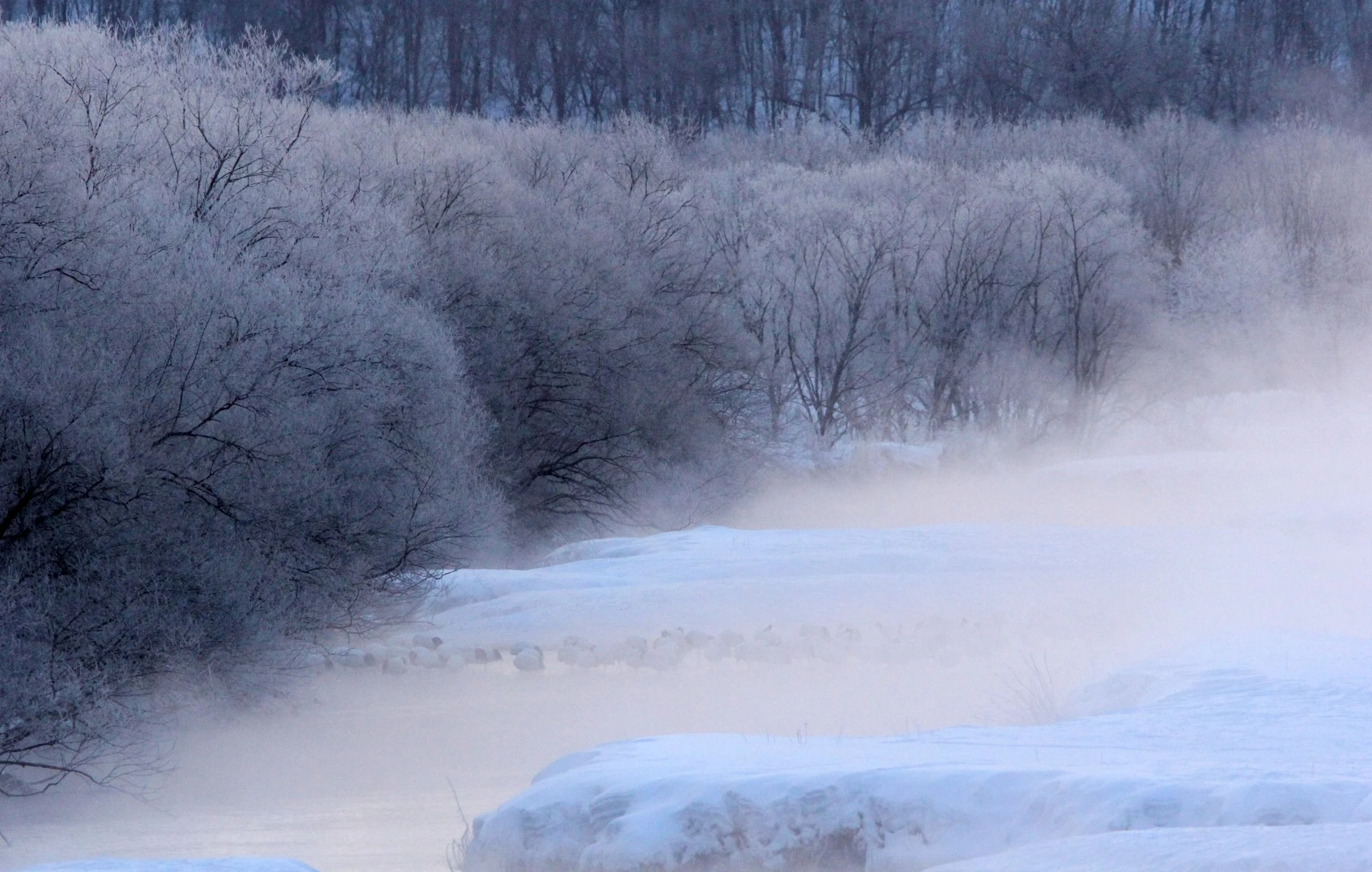 OTOWABASHI SETSUGAWA - TSURUI TOWN - HOKKAIDO JAPAN (3).JPG