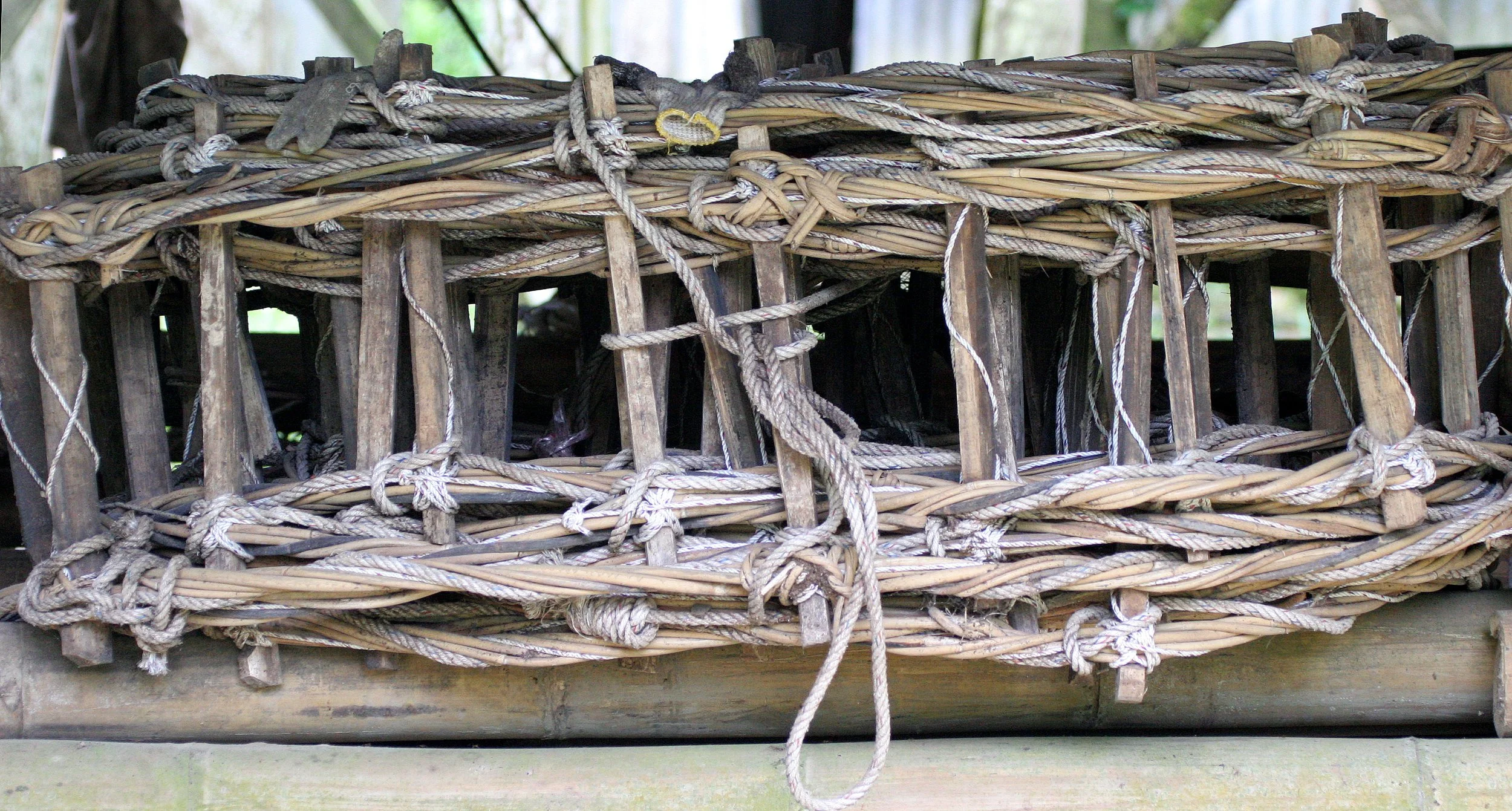 GAMONTONG CAVES BORNEO - BIRDS NEST LADDERS (2).JPG