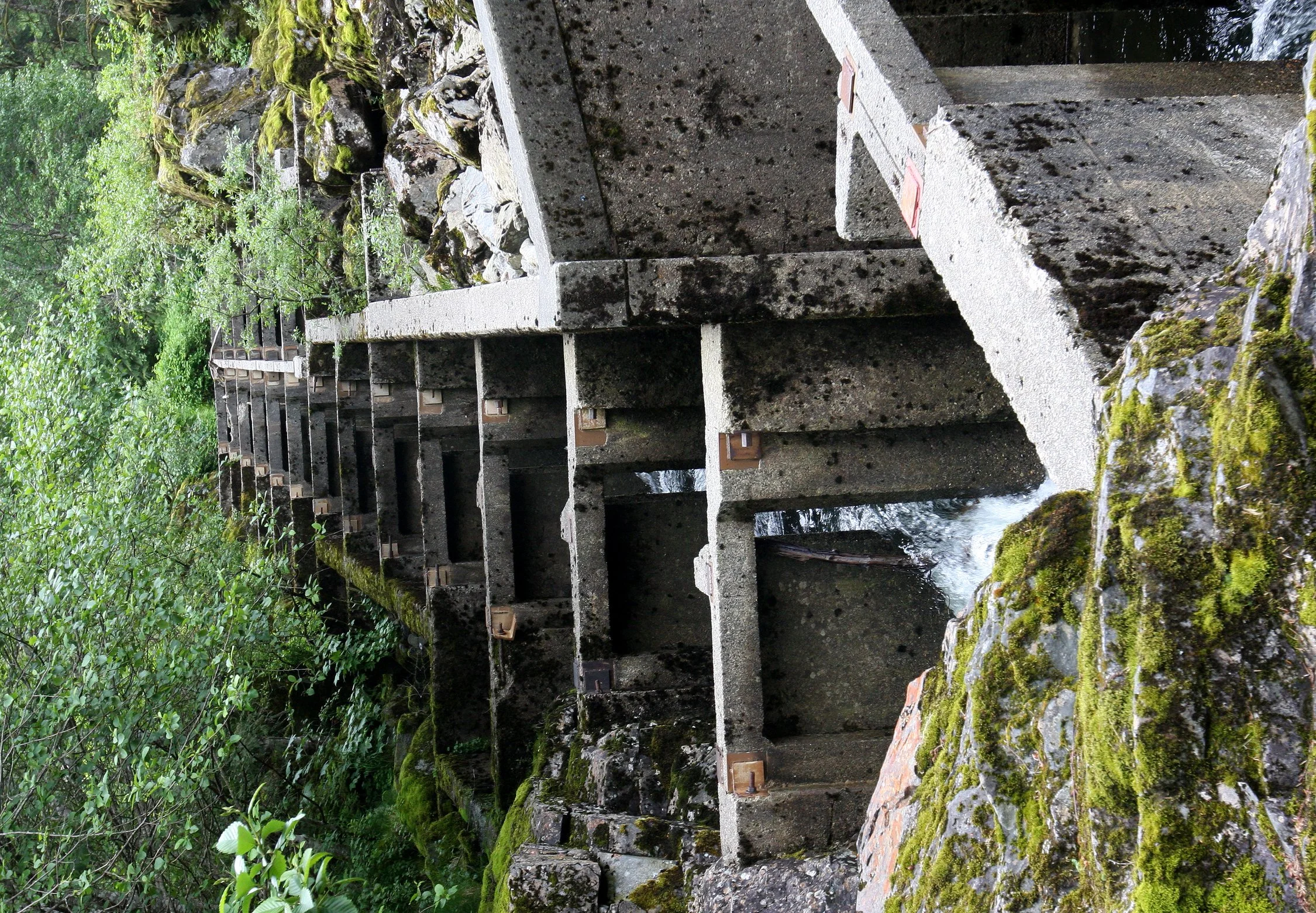 TRAPPER RICK'S - VIEWS AND RICK'S CABIN - THOMPSON SOUND BC (18).JPG