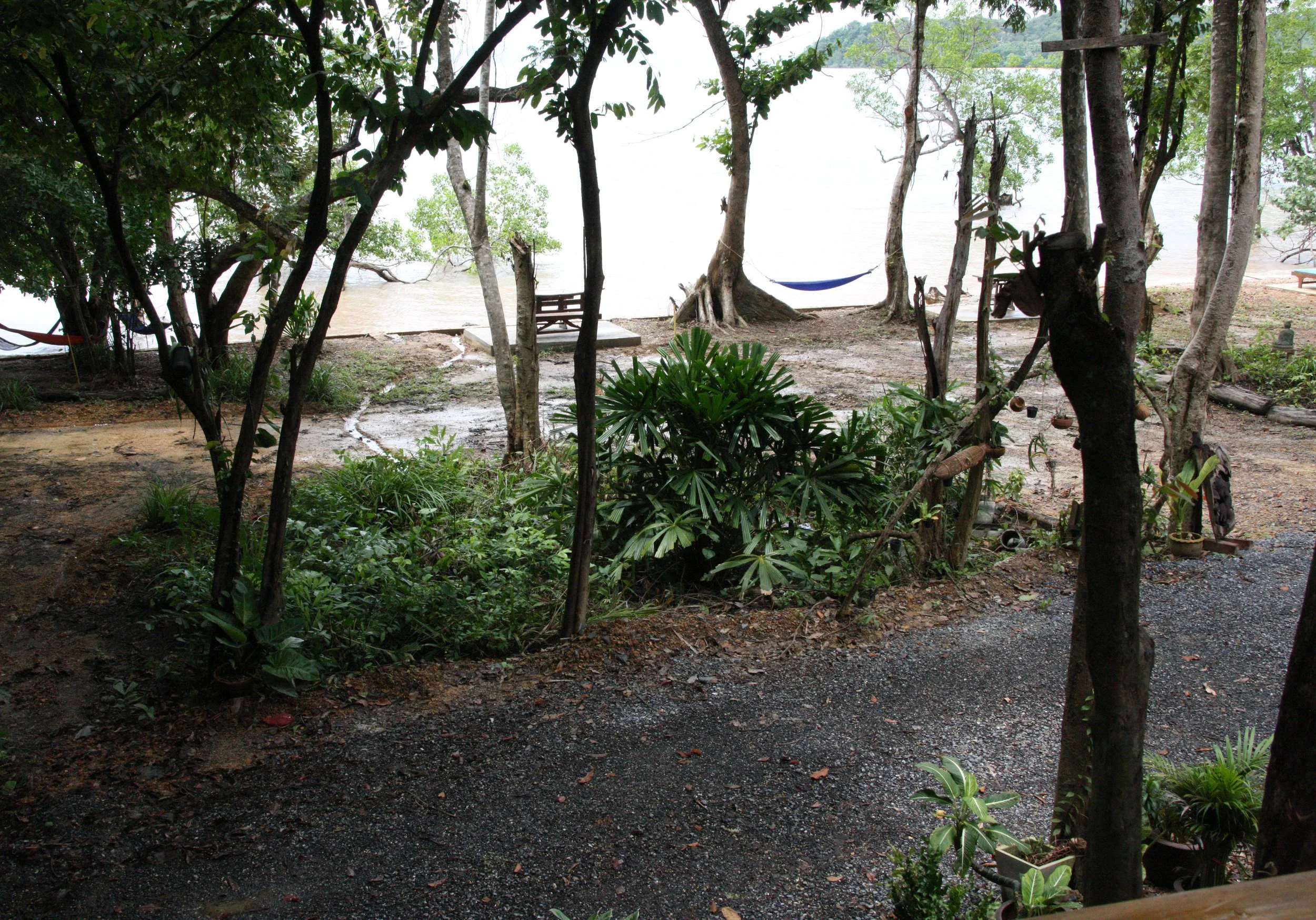 2016 Koh Lanta TheOtherSideVillas - Colugo (5).JPG